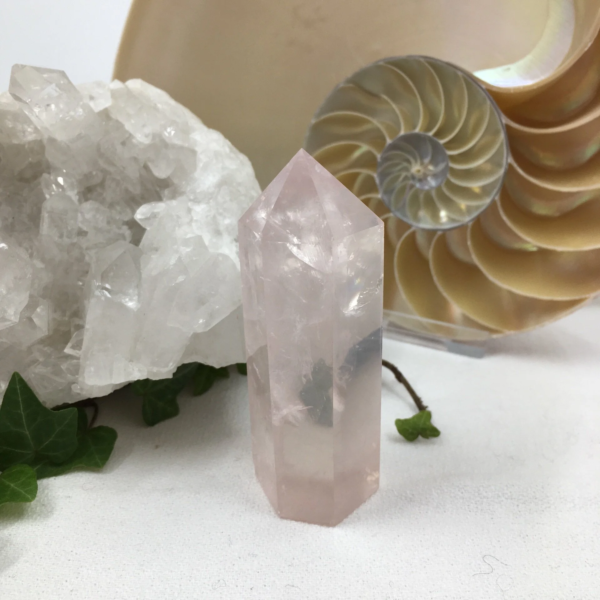 Rose Quartz Standing Point 4