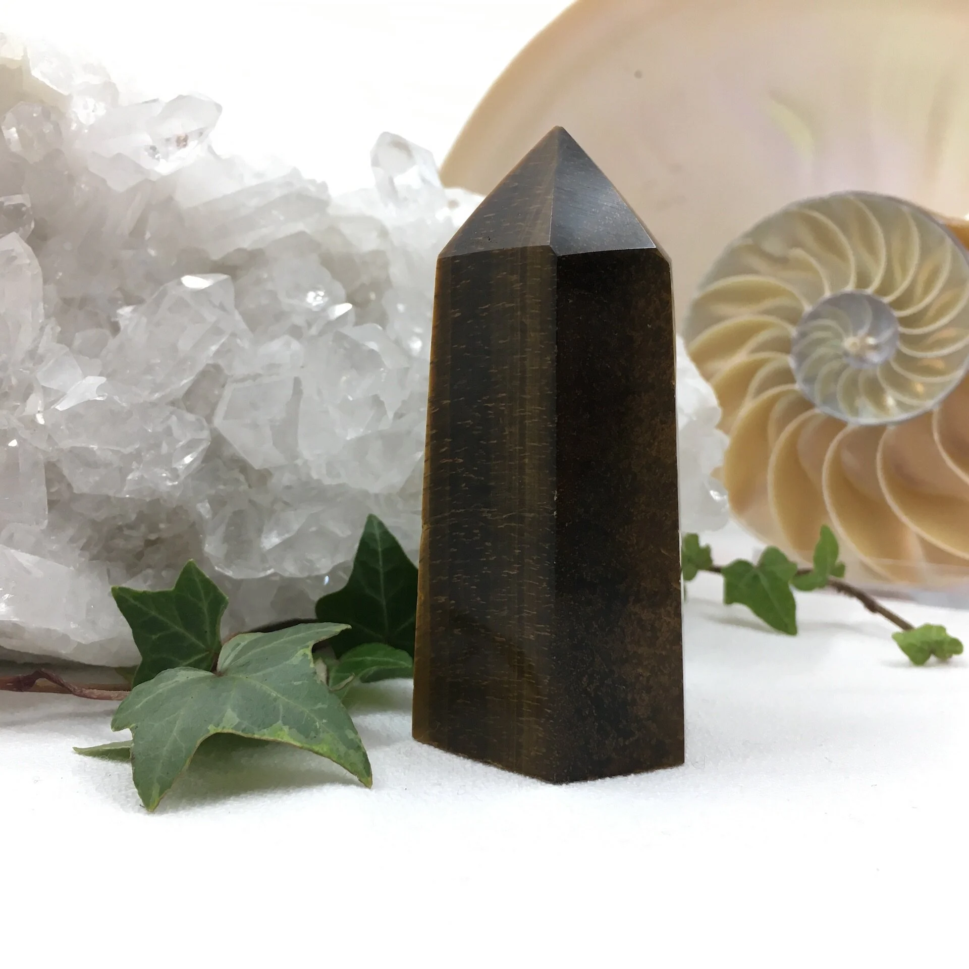 Tigers Eye Point 2a.jpeg