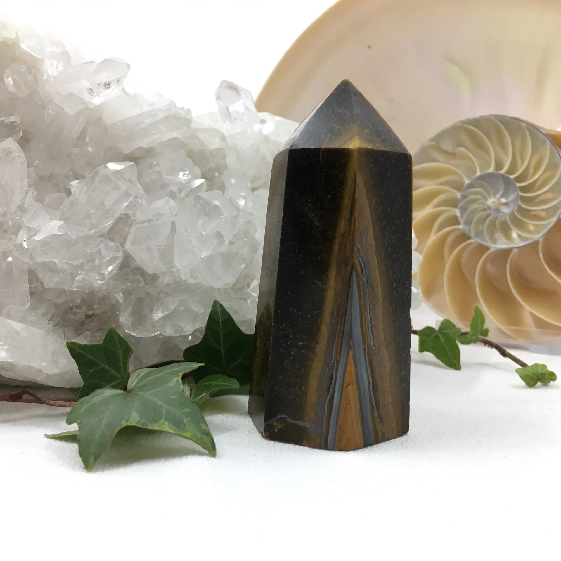 Tigers Eye Point 2b.jpeg