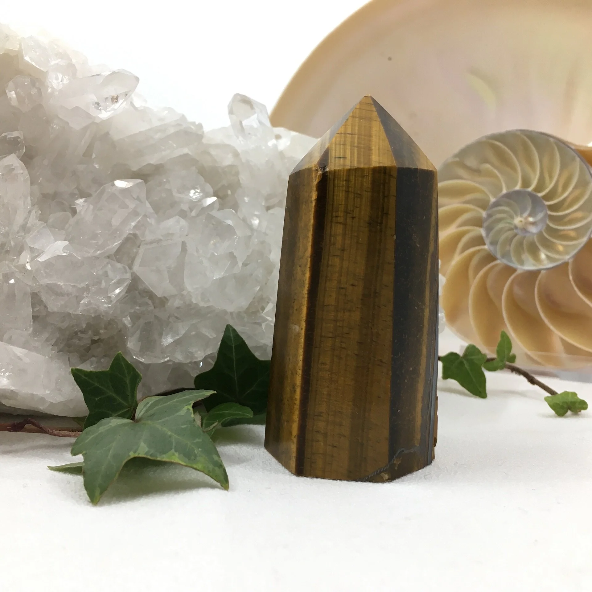 Tigers Eye Point 2c.jpeg