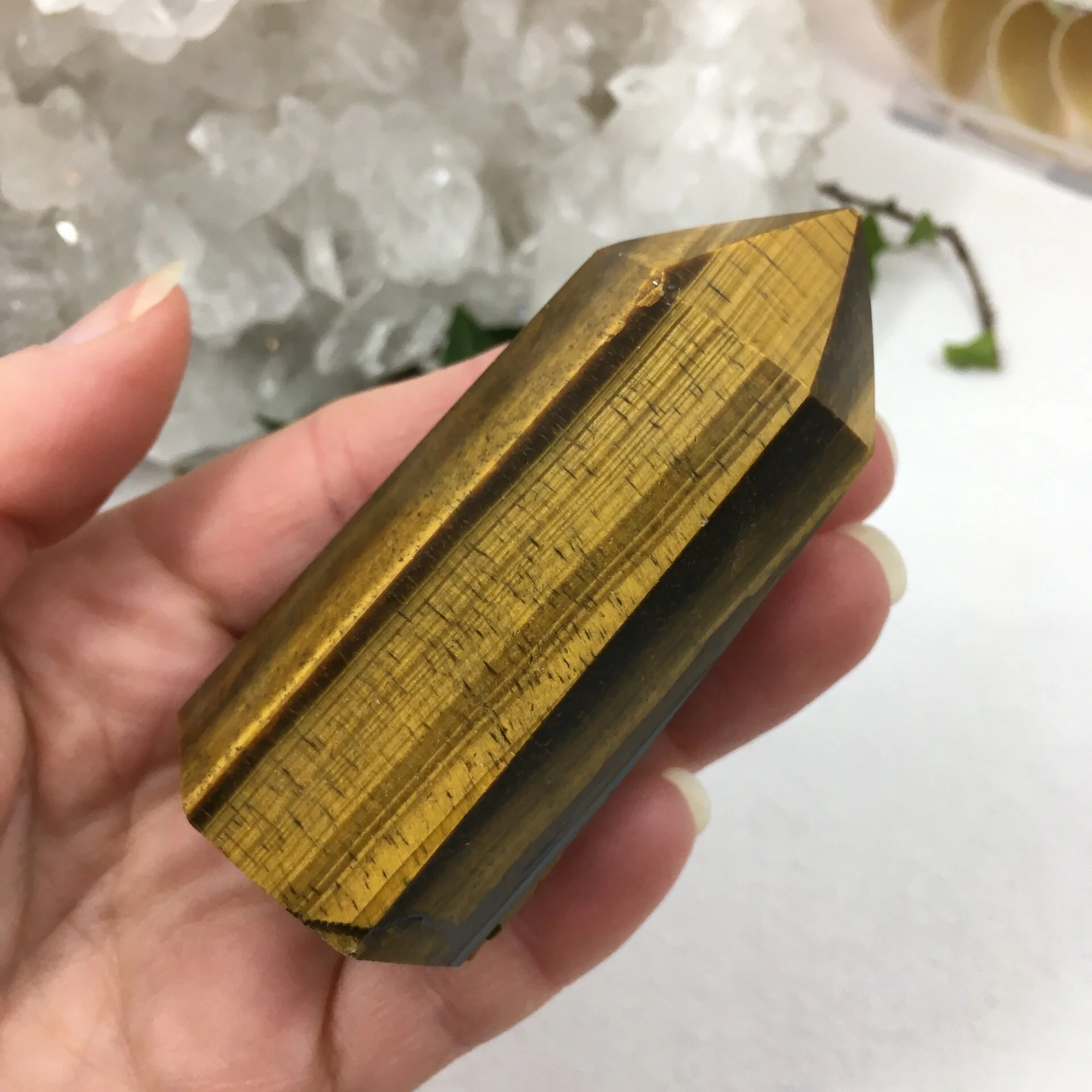 Tigers Eye Point 2d.jpeg