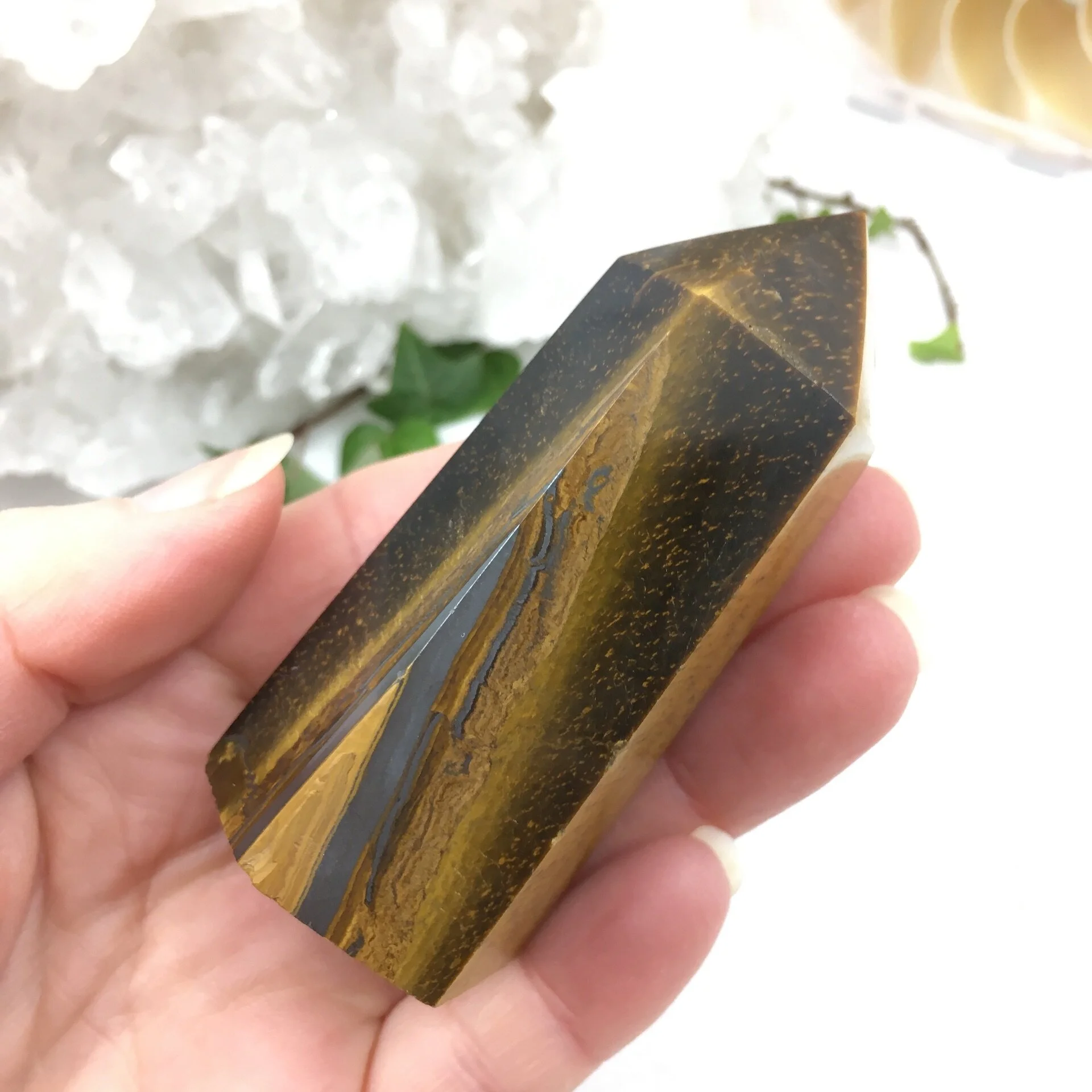 Tigers Eye Point 2e.jpeg