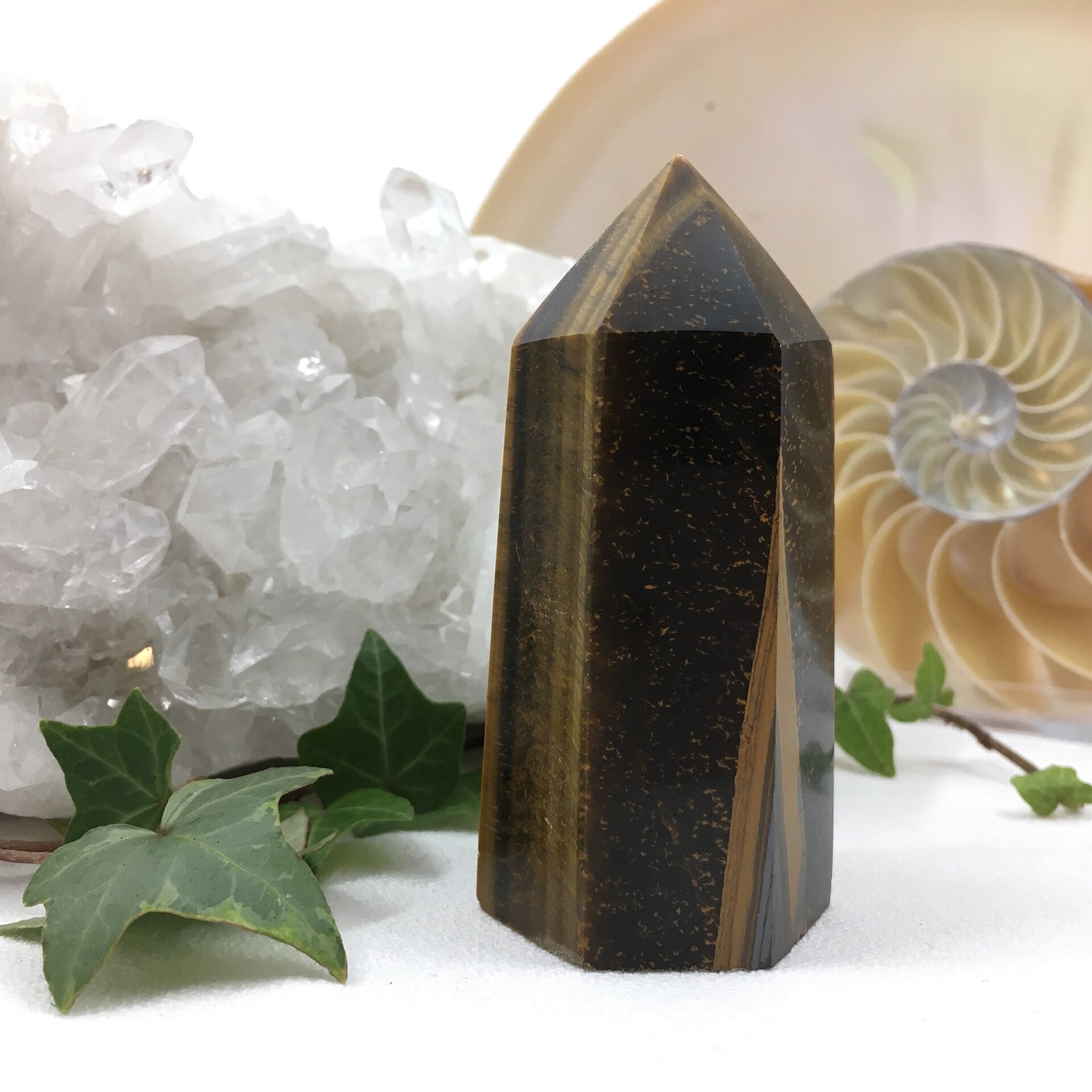 Tigers Eye Point 3a.jpeg