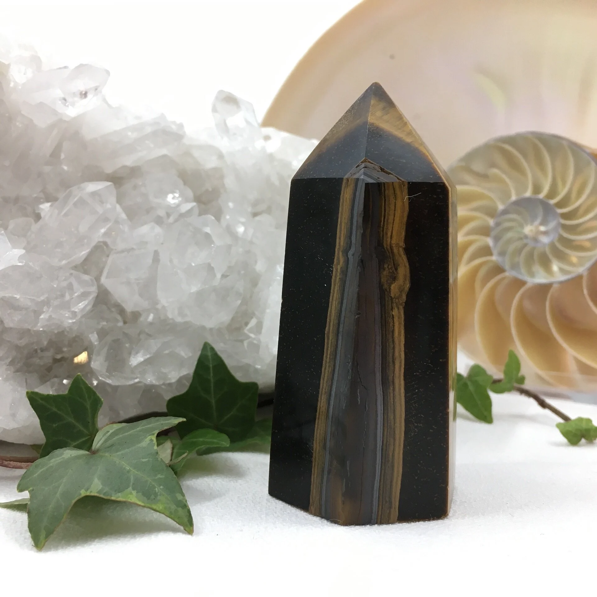 Tigers Eye Point 3b.jpeg