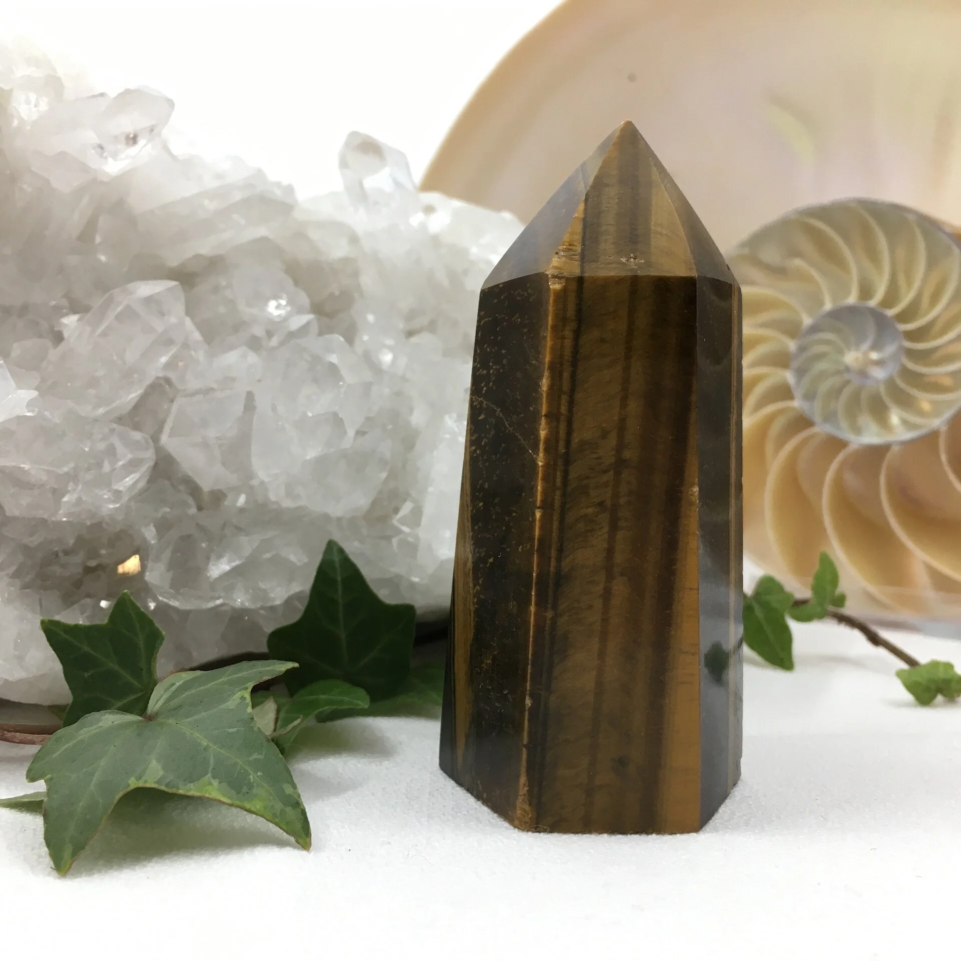 Tigers Eye Point 3c.jpeg