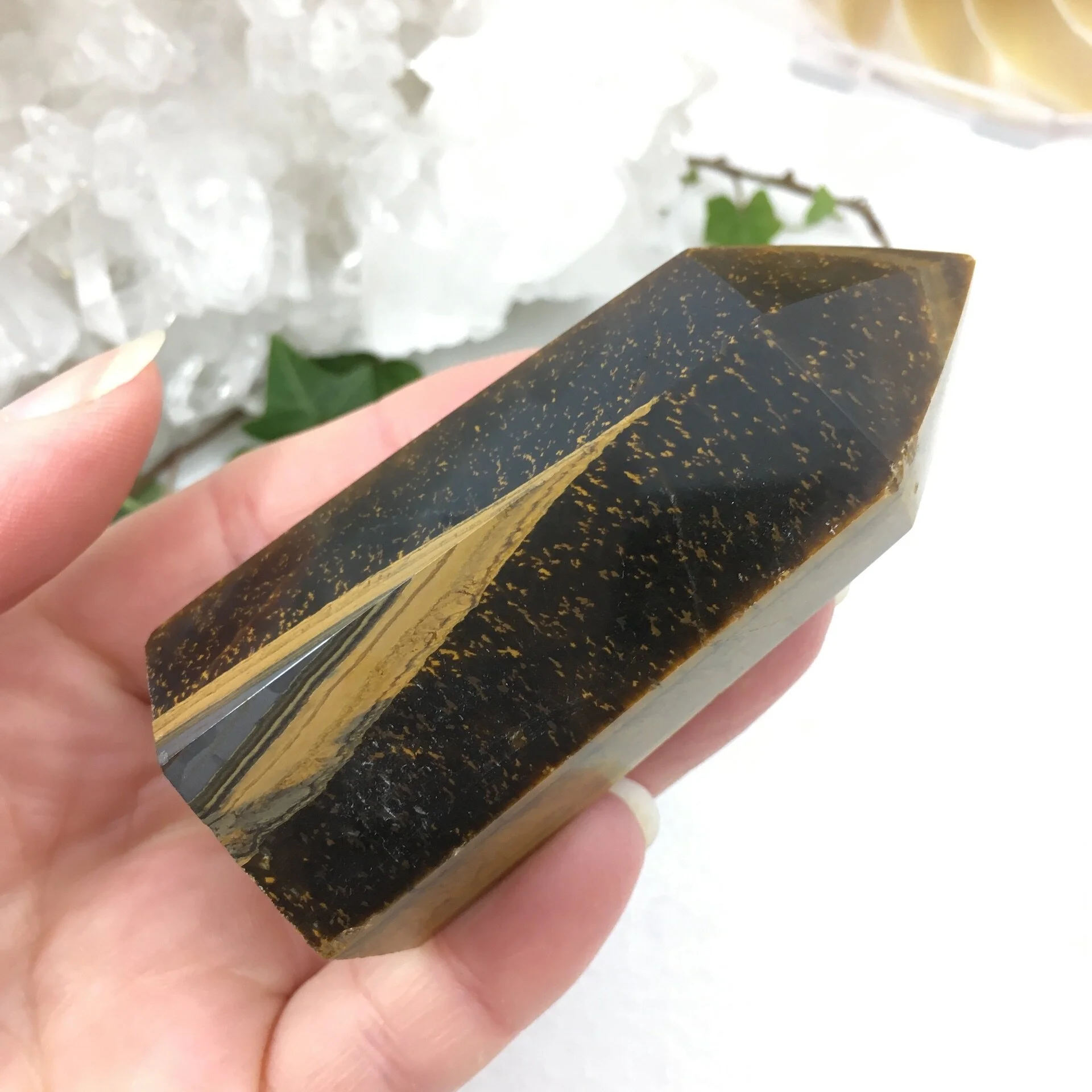 Tigers Eye Point 3d.jpeg