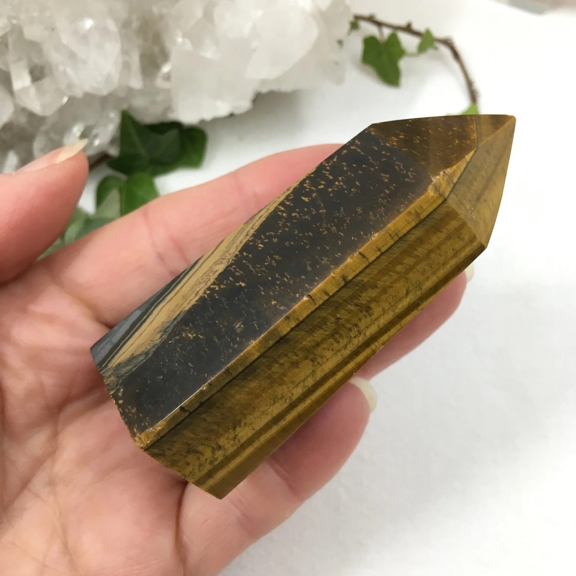 Tigers Eye Point 3e.jpeg