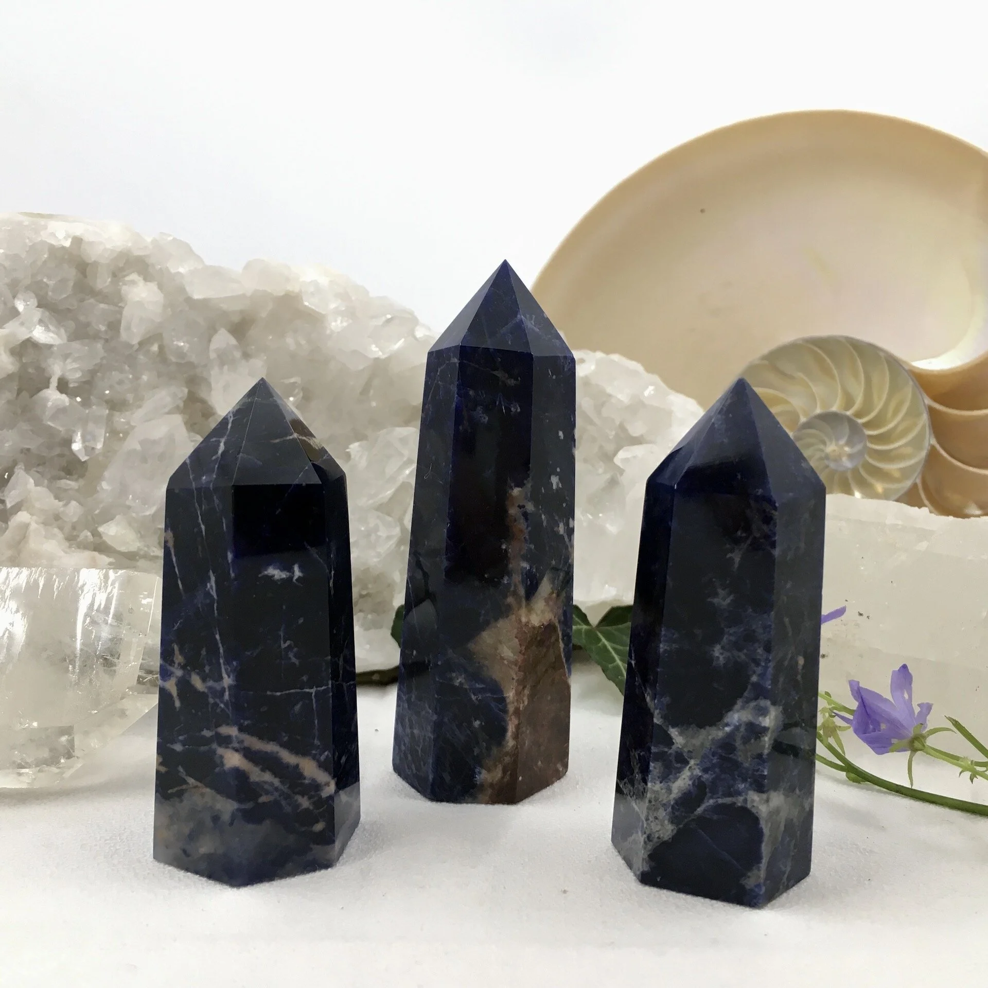 Sodal point group.jpeg