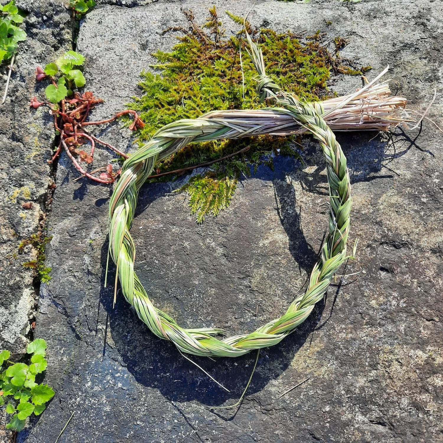 Sweetgrass Braid.jpg