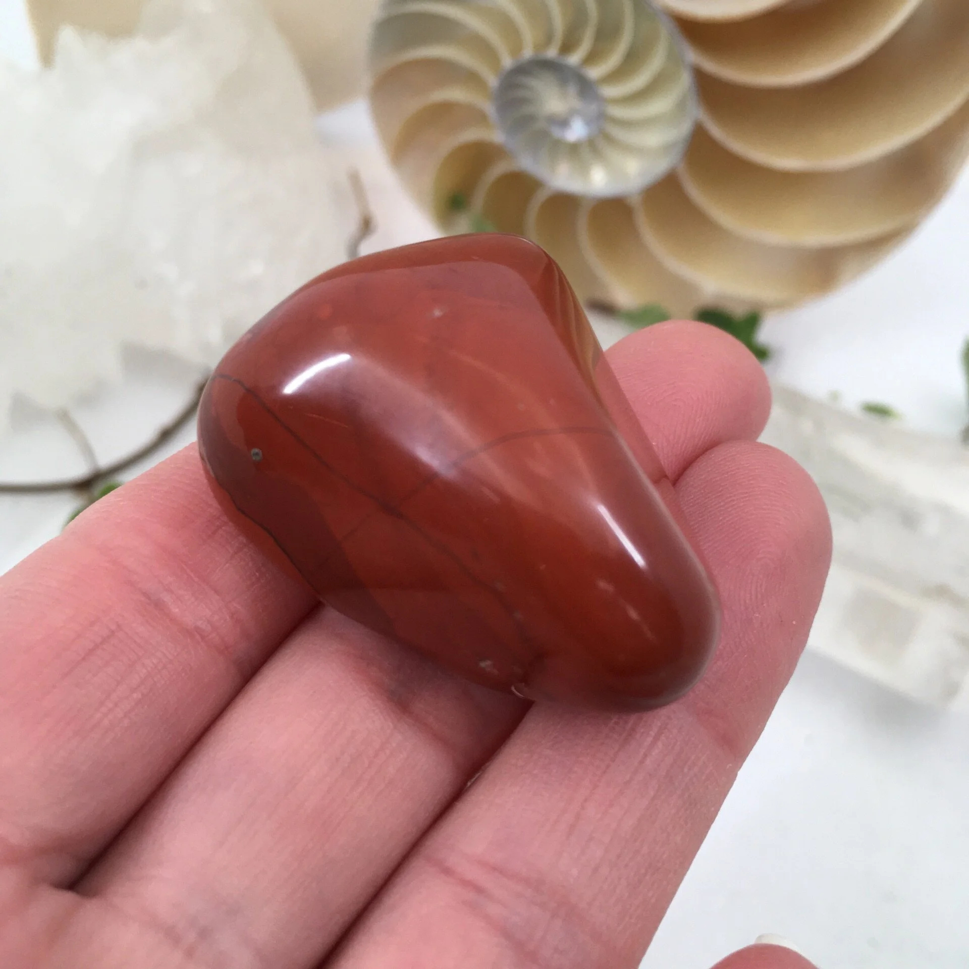 Red Jasper 6.jpeg
