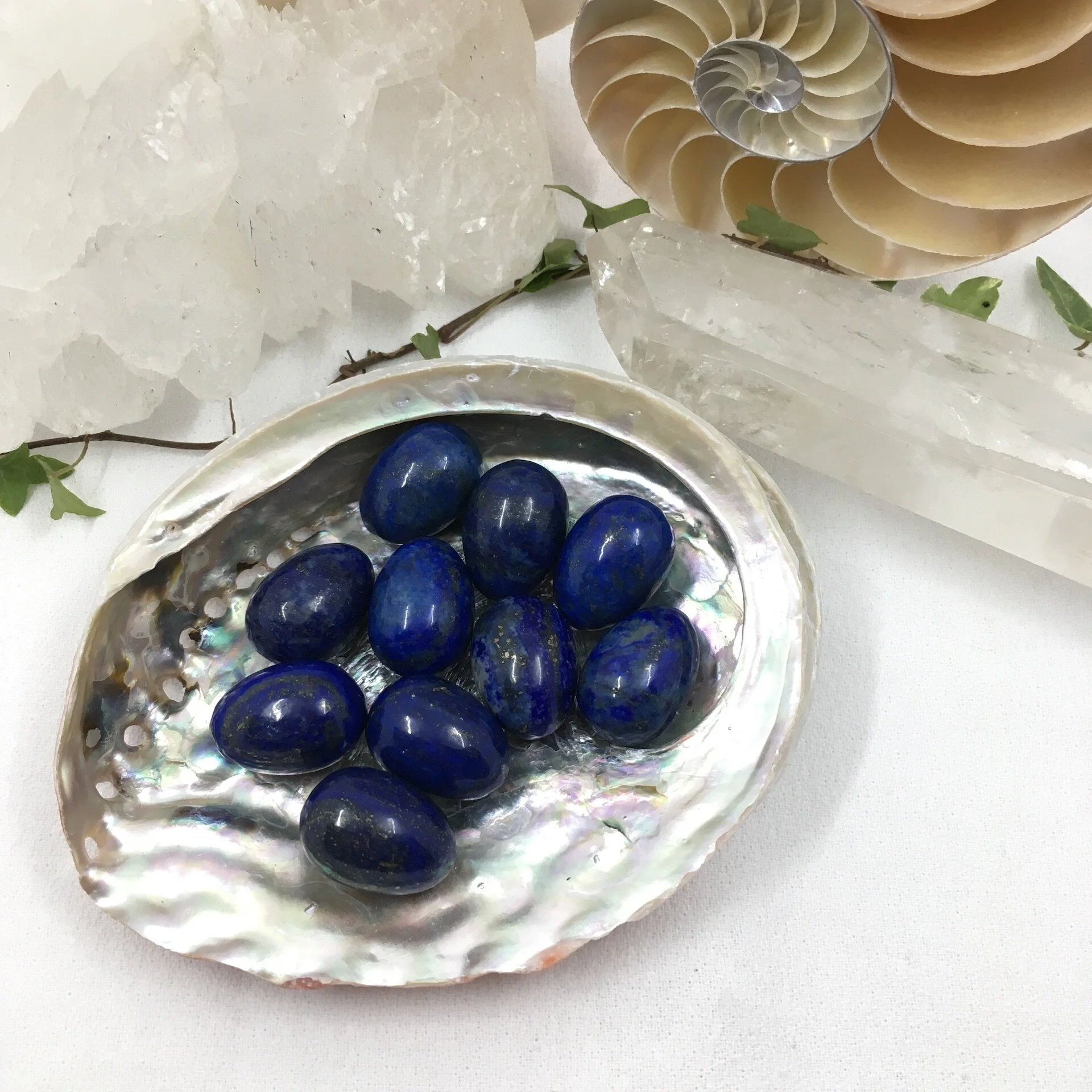 Lapis eggs a.jpeg