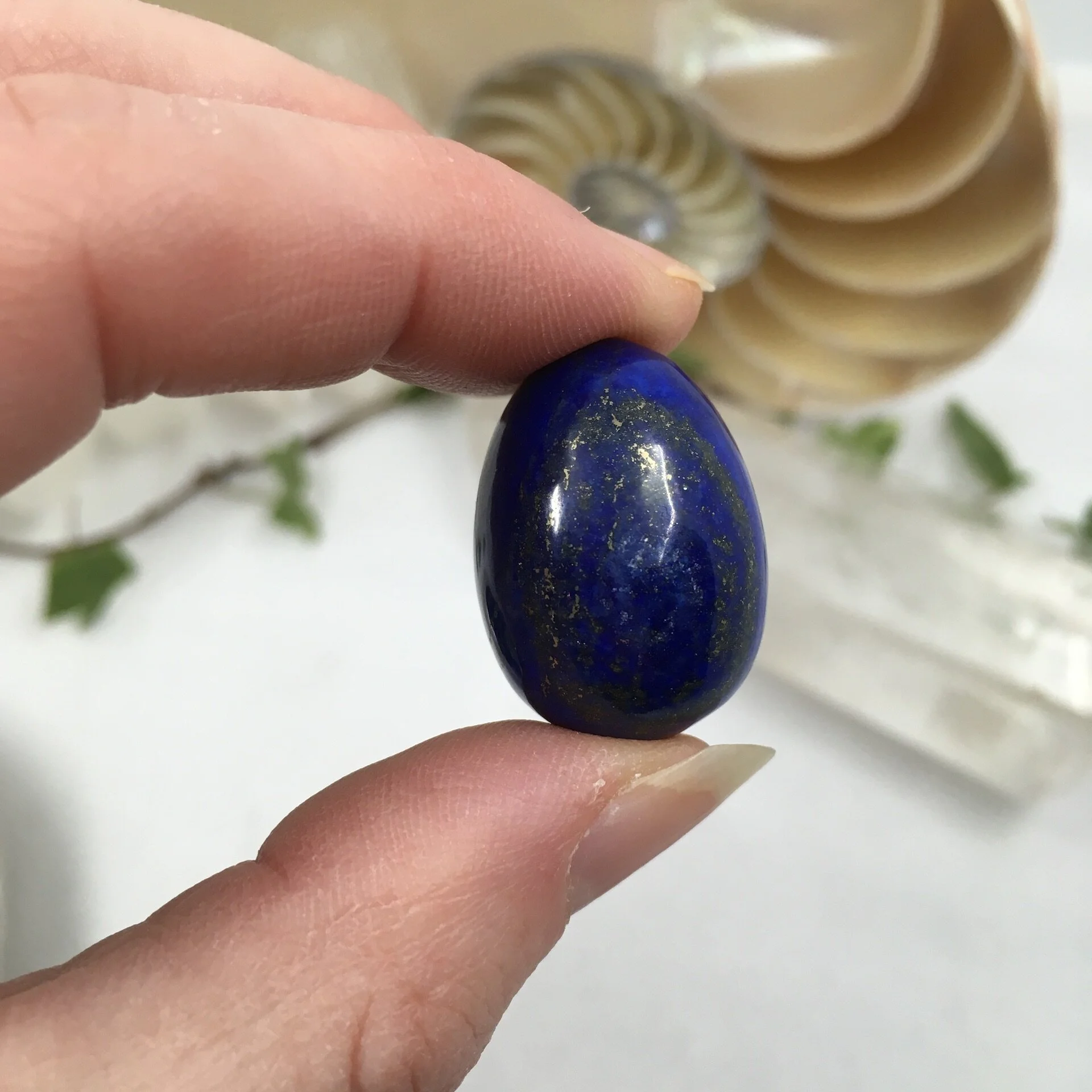 Lapis eggs c.jpeg