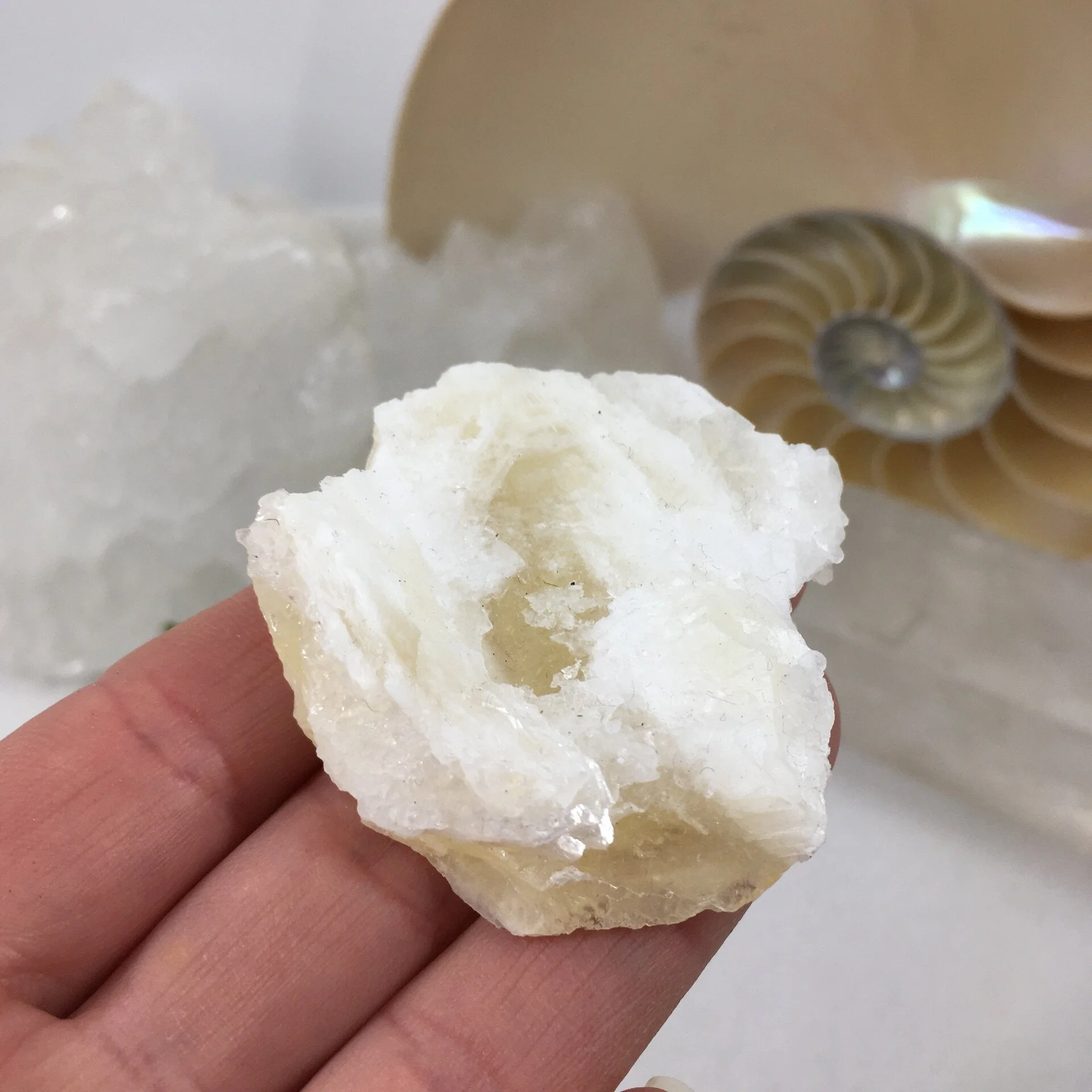 Angel Wing Calcite b.jpeg