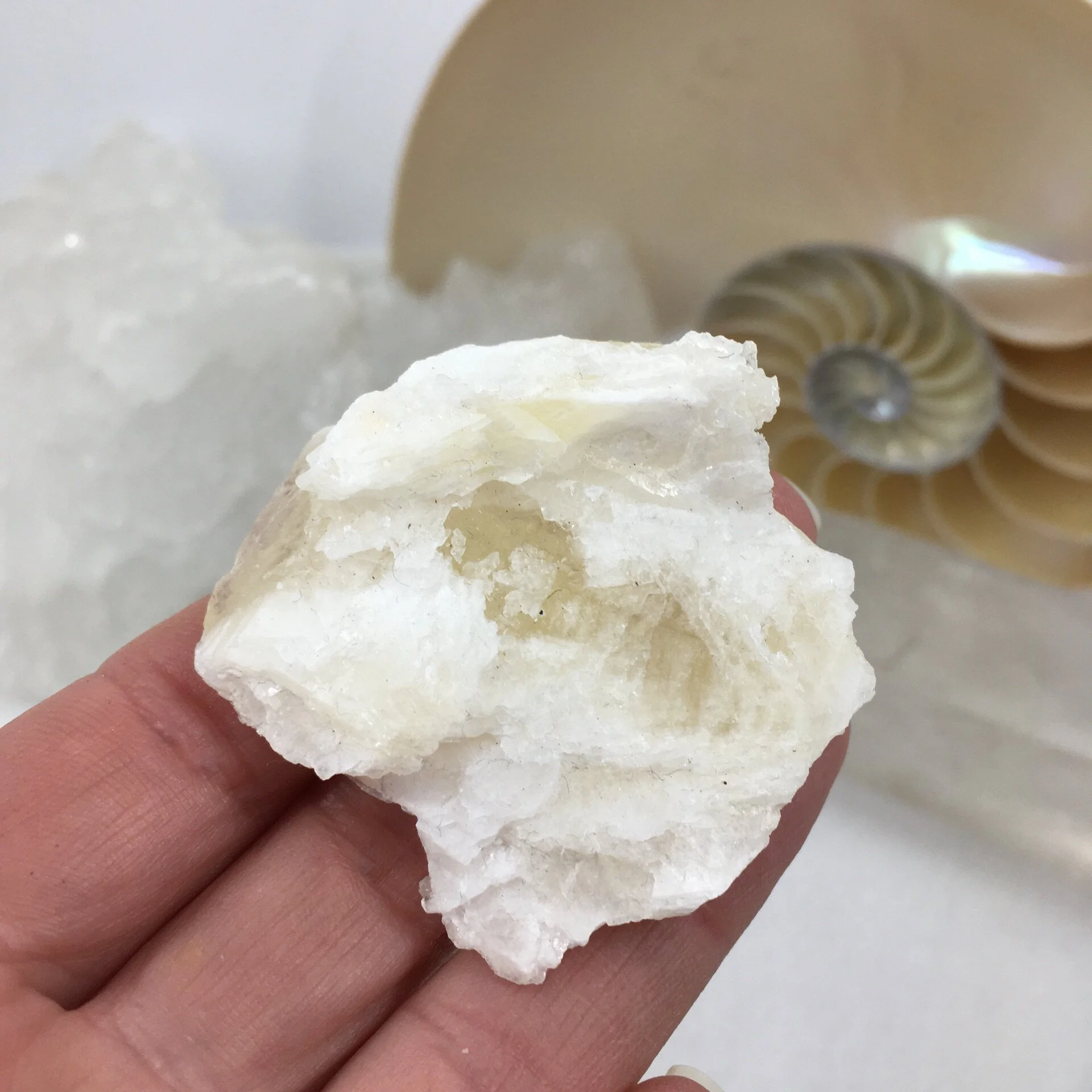Angel Wing Calcite c.jpeg