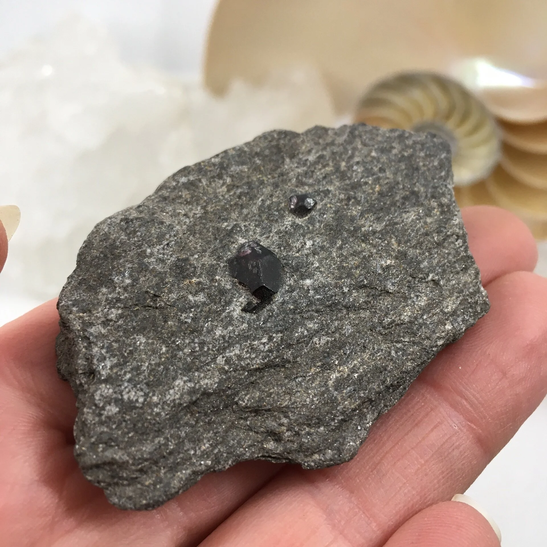 Garnet in matrix 1b.jpeg