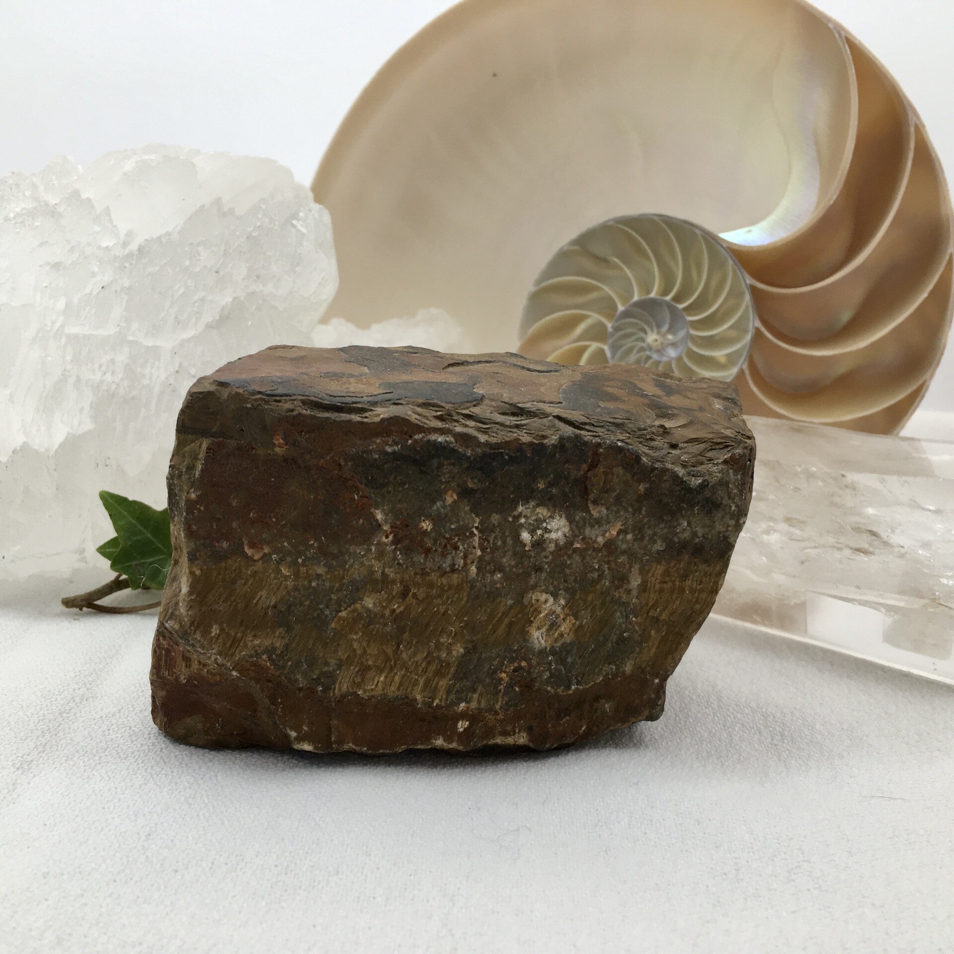 Tiger's Eye - Natural / Unpolished *