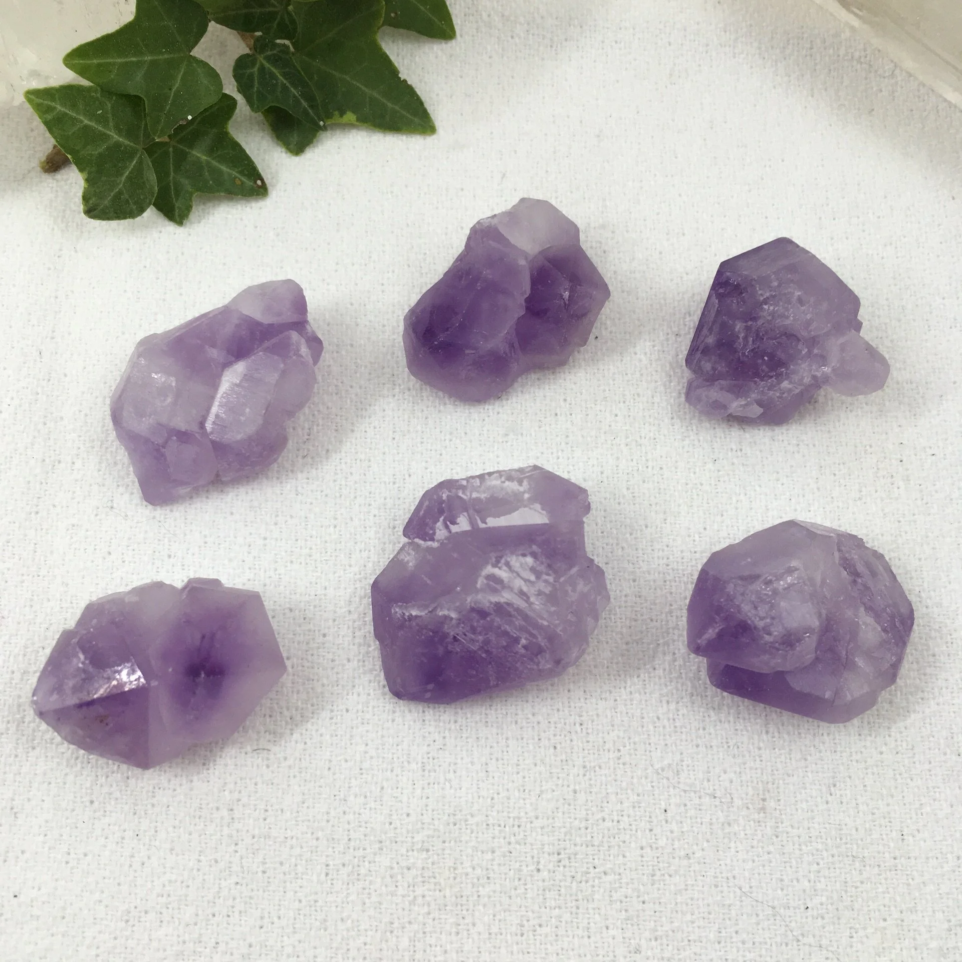 Amey elestials a.jpeg