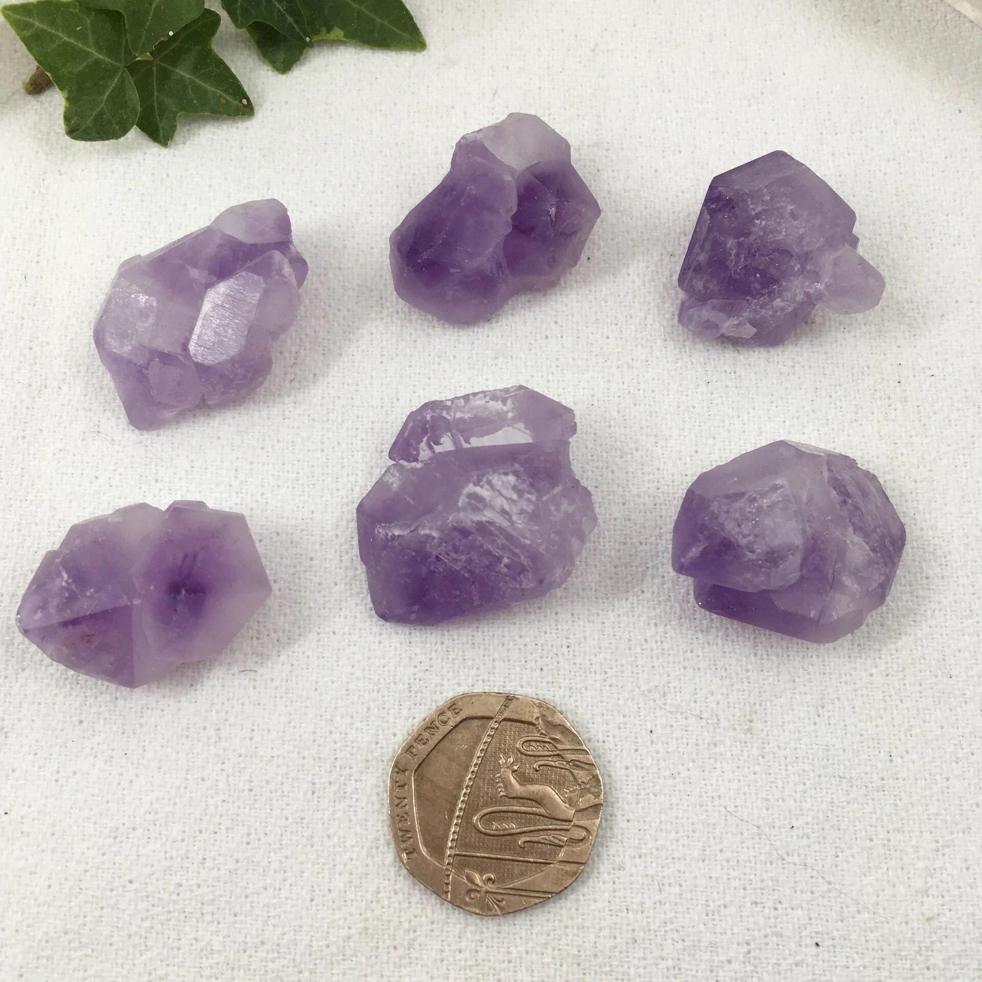 Amey elestials b.jpeg