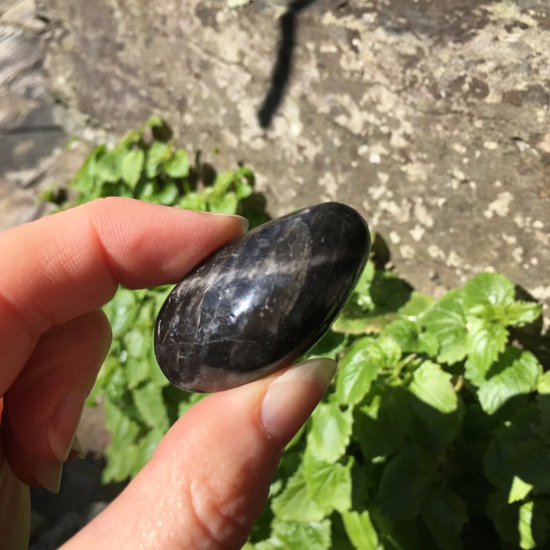 Black moonstone pebble 2c.jpeg