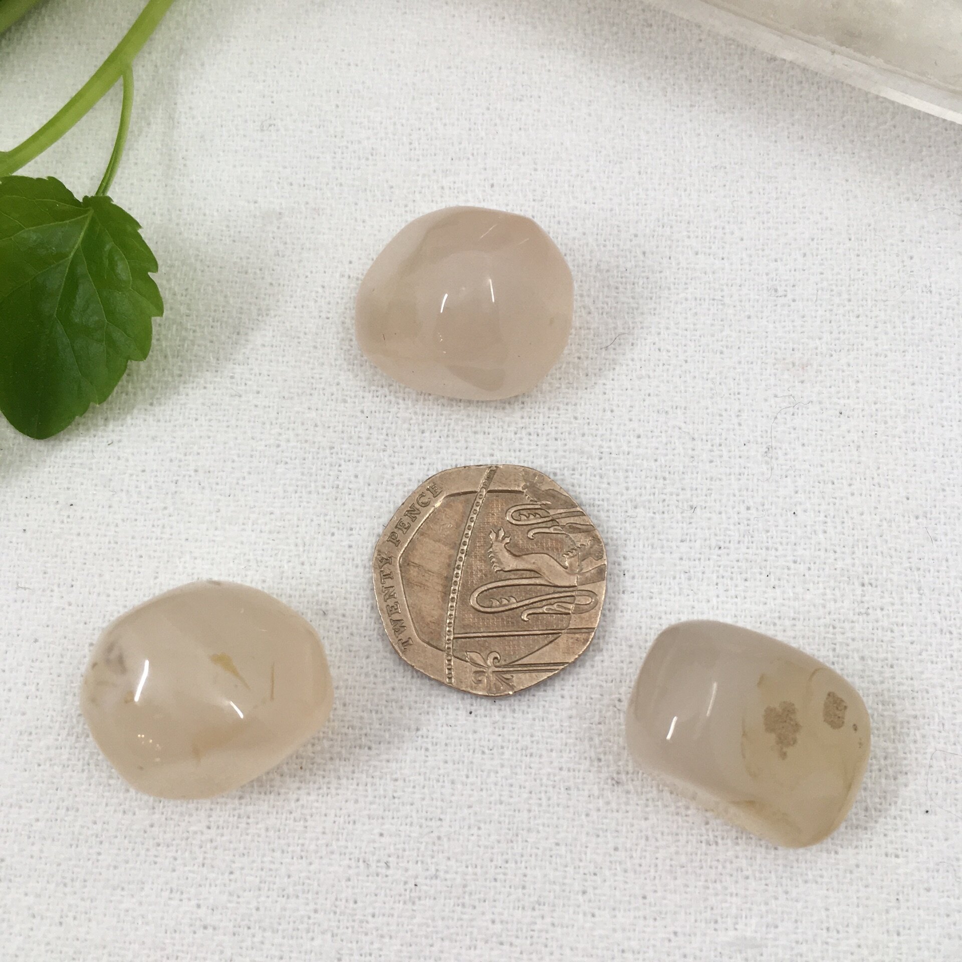 Pink Chalcedony £3b.jpeg