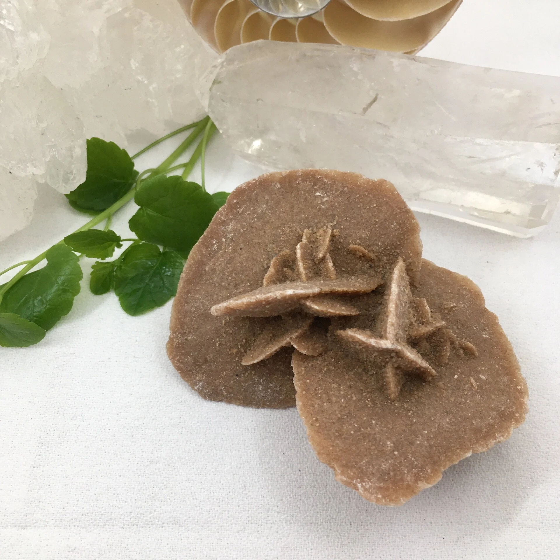 Selenite - Desert Rose 1