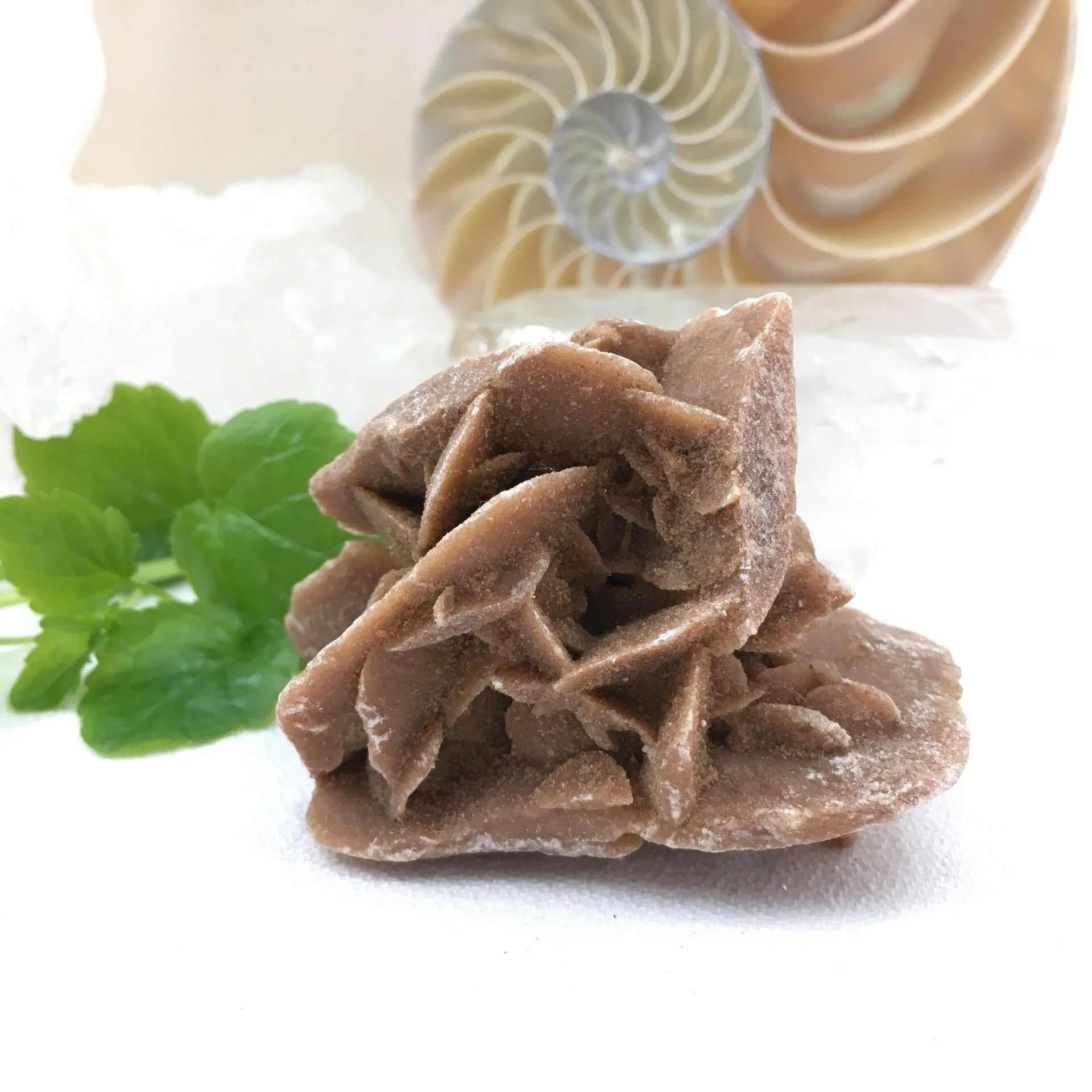 Selenite - Desert Rose 3