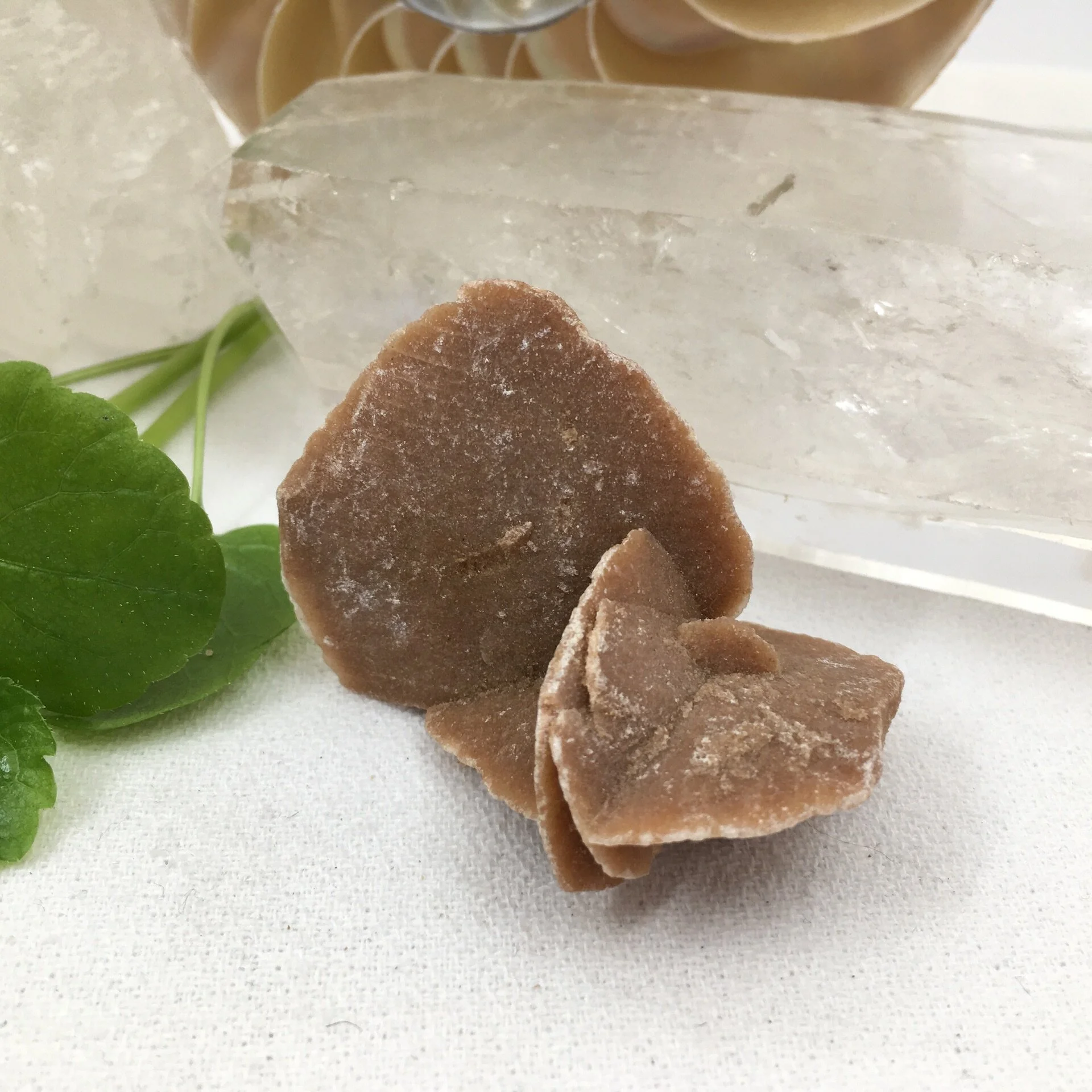 Selenite - Desert Rose 8