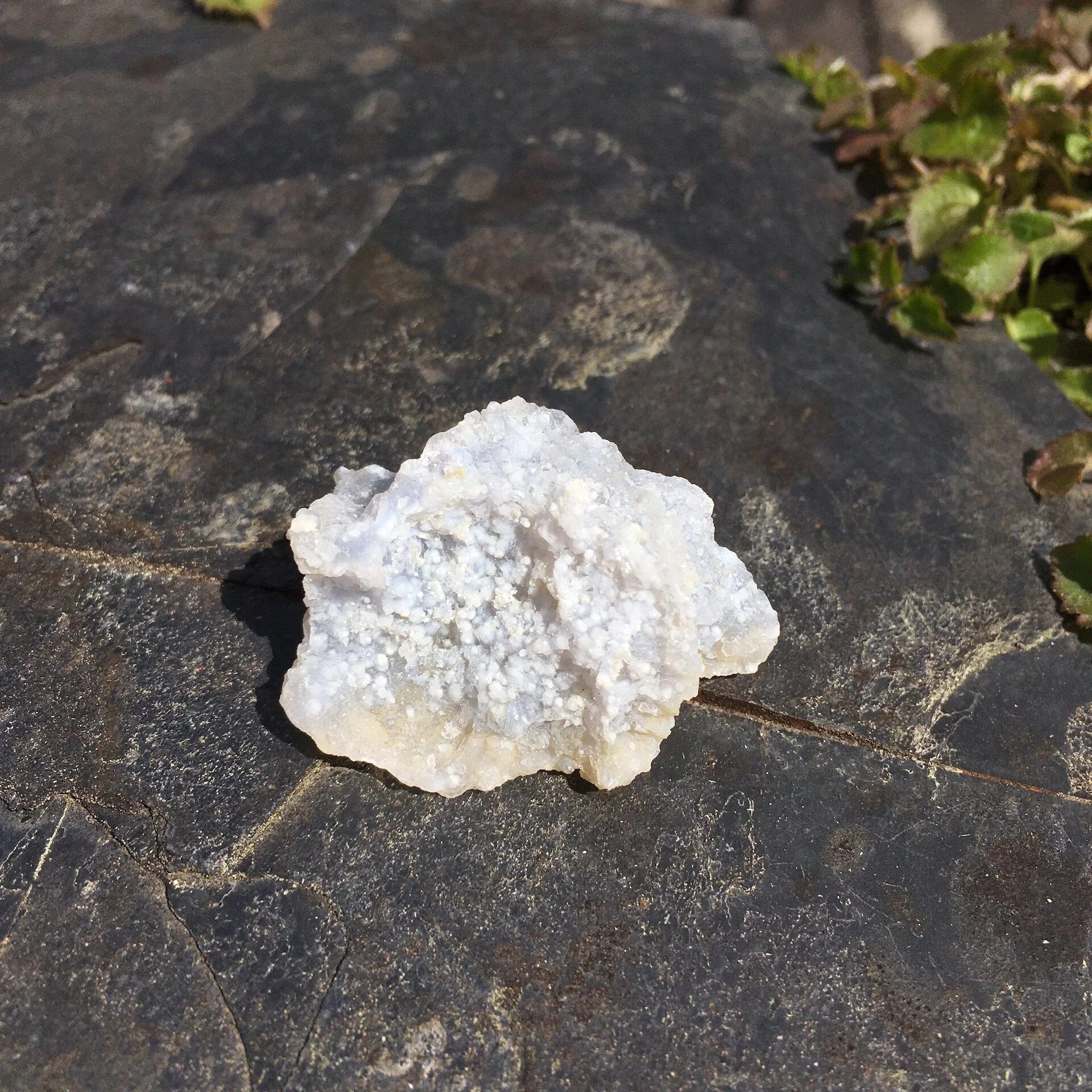 Blue Chalcedony 1a.jpeg