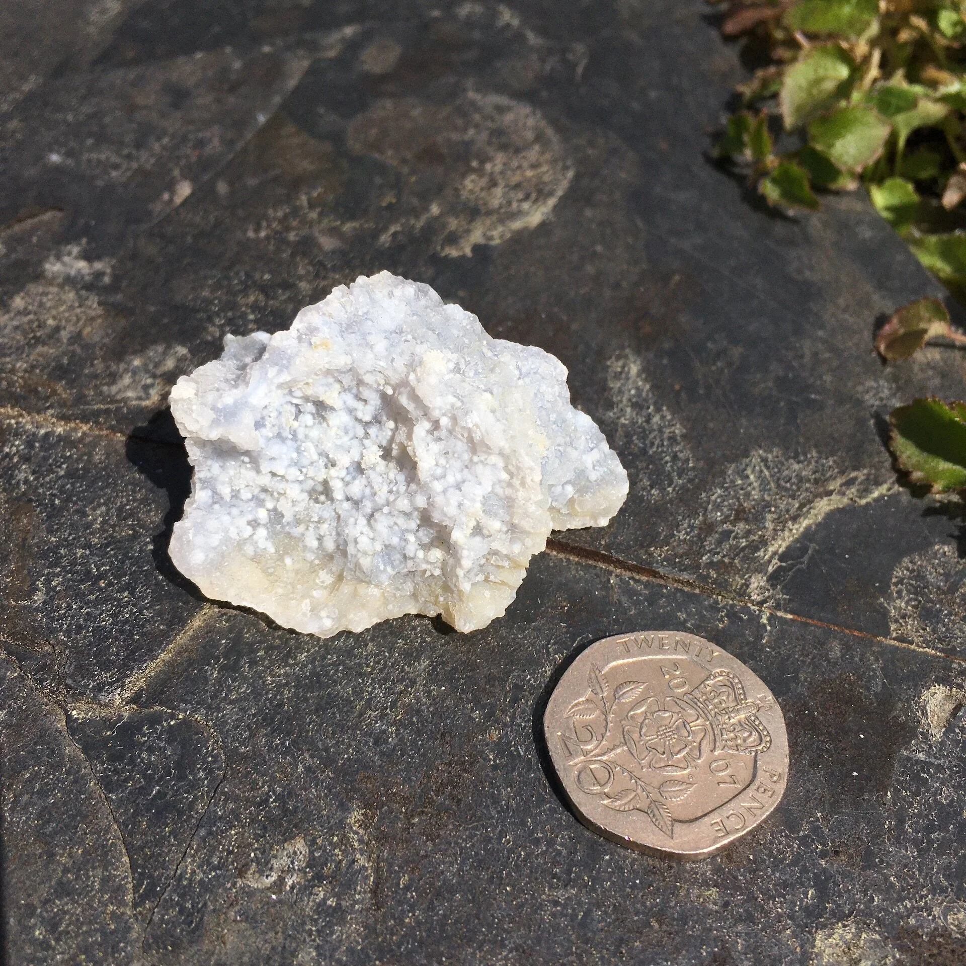 Blue Chalcedony 1b.jpeg