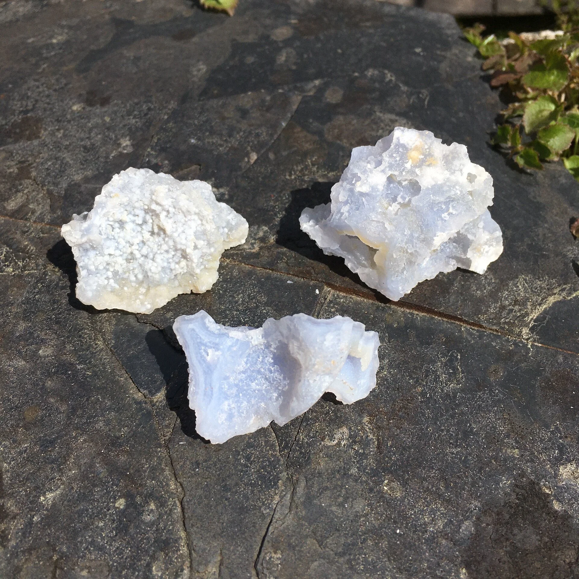 Blue Chalcedony all.jpeg