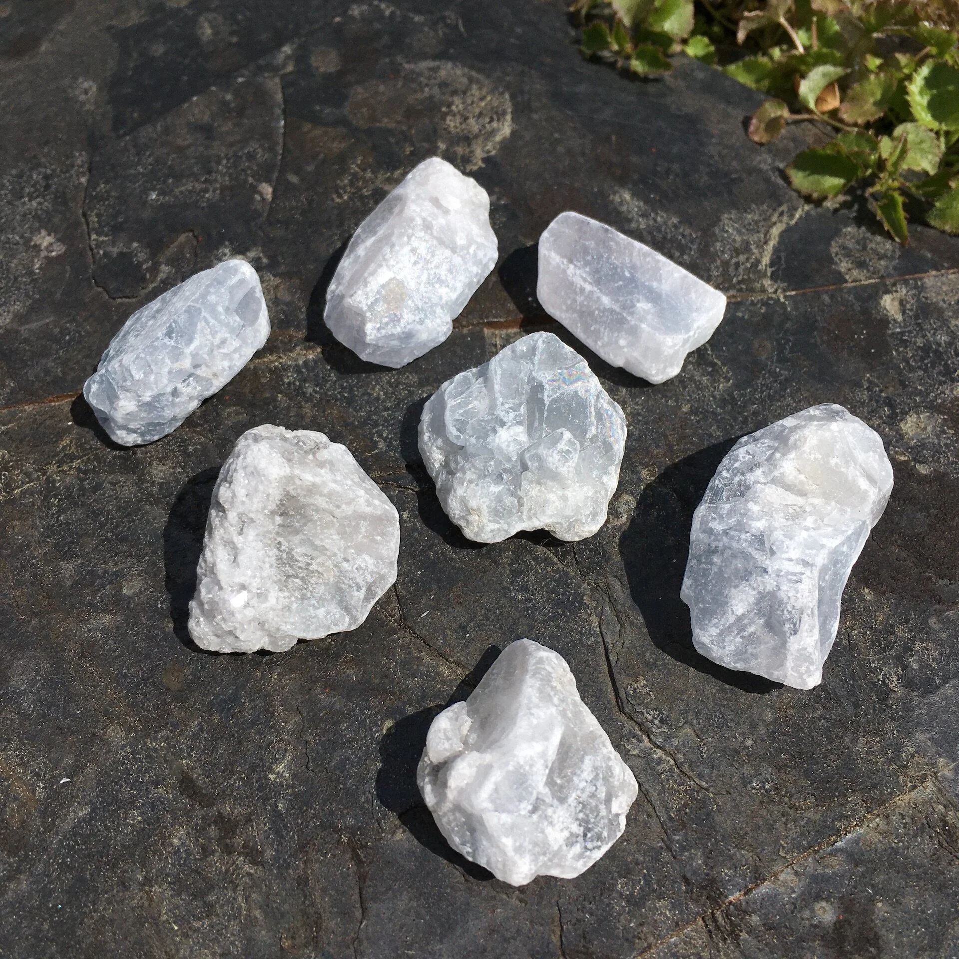 Celestite - Natural, Unpolished