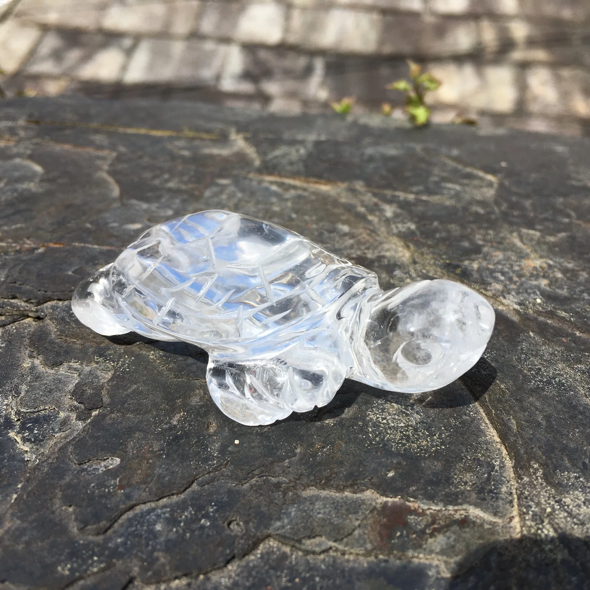 Quartz tortoise b.jpeg