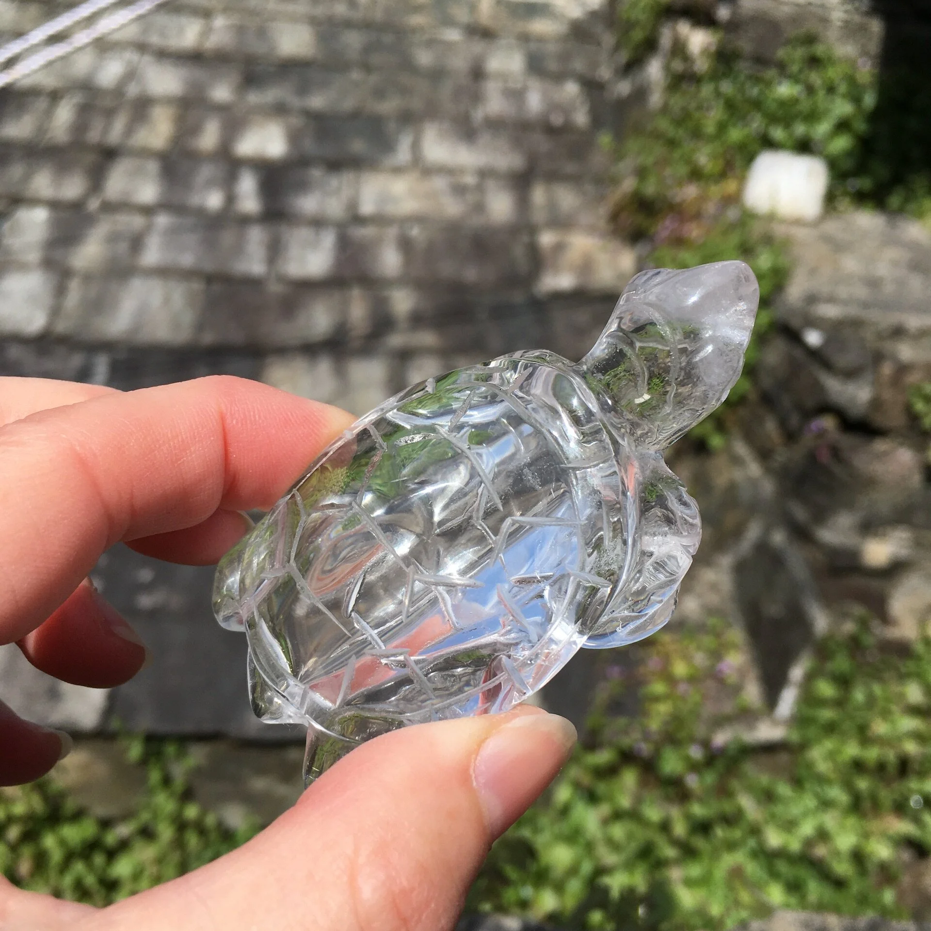 Quartz tortoise c.jpeg