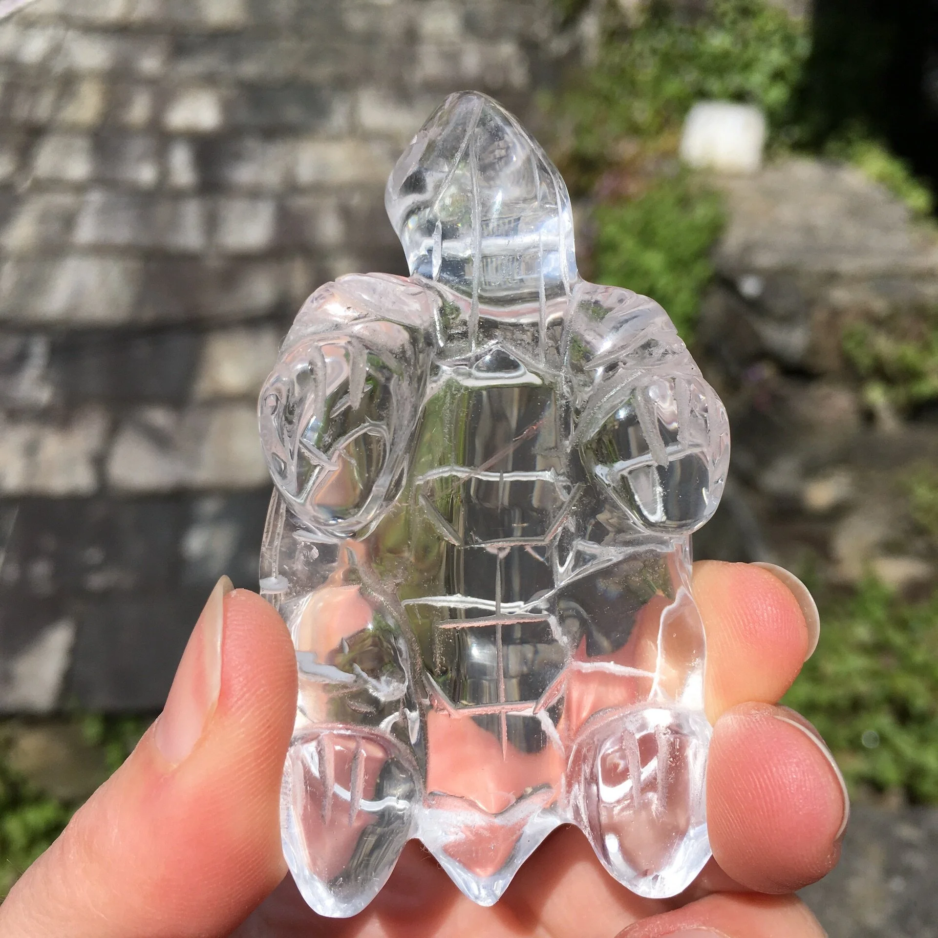 Quartz tortoise d.jpeg