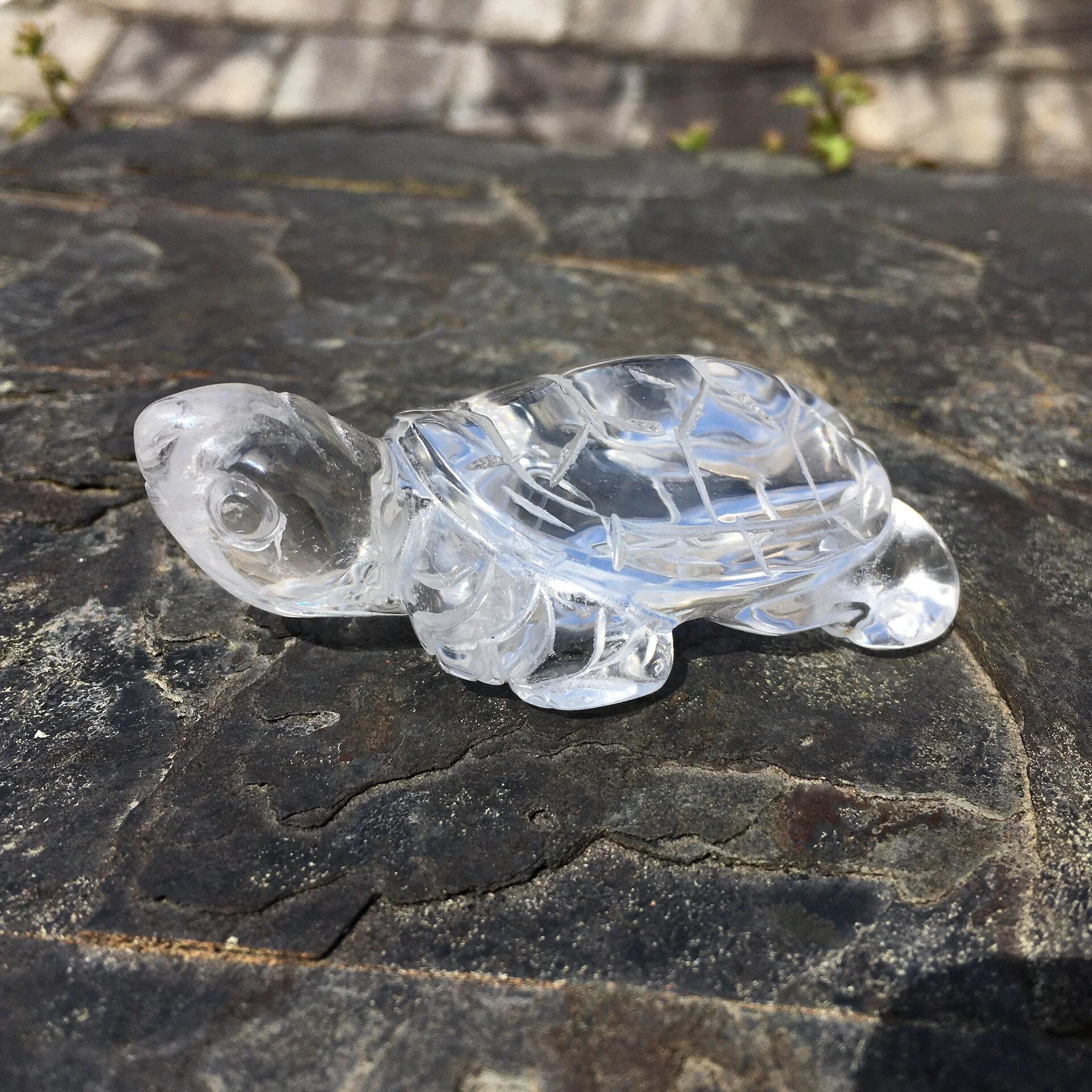 Quartz Turtle/Tortoise