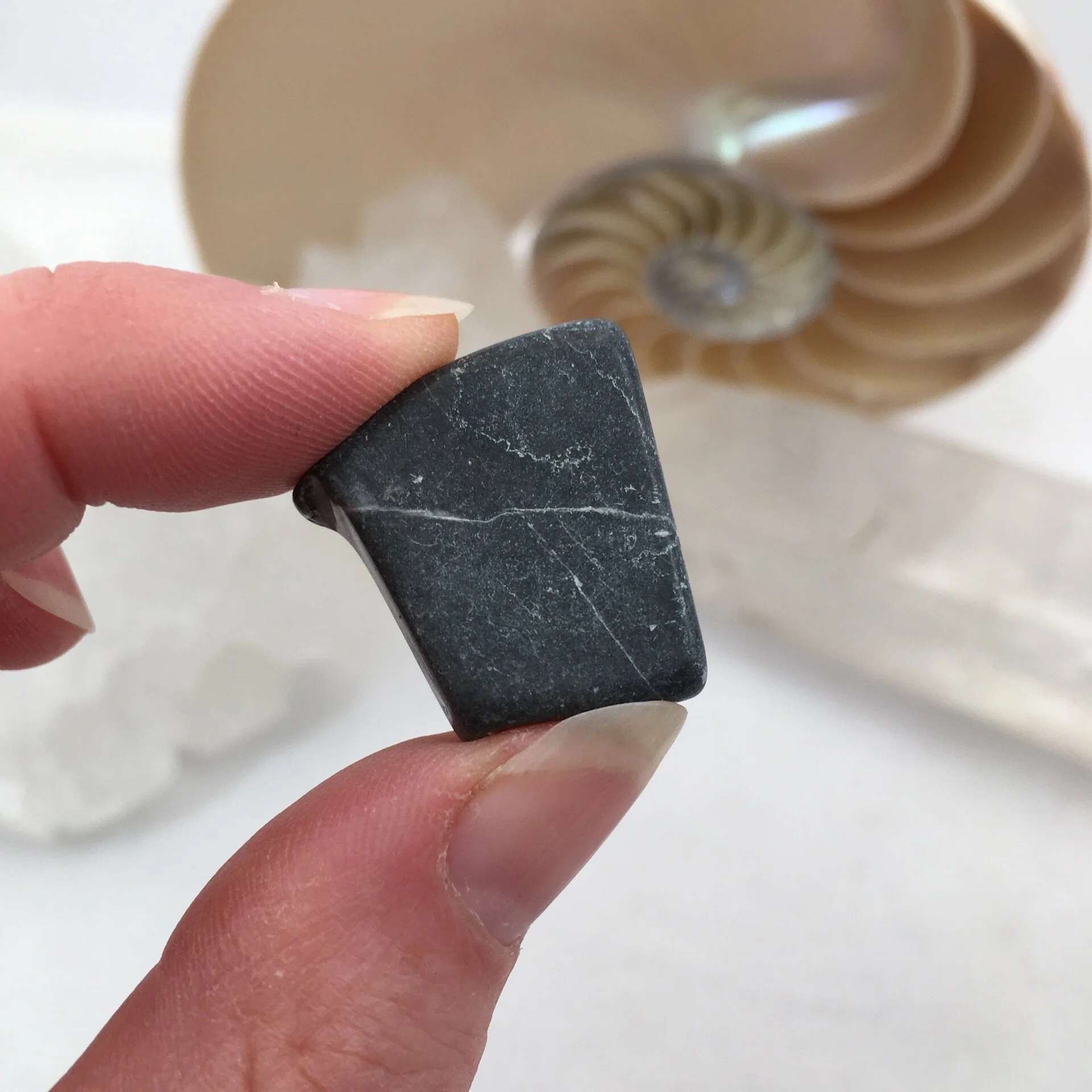 Master Shamanite c.jpeg