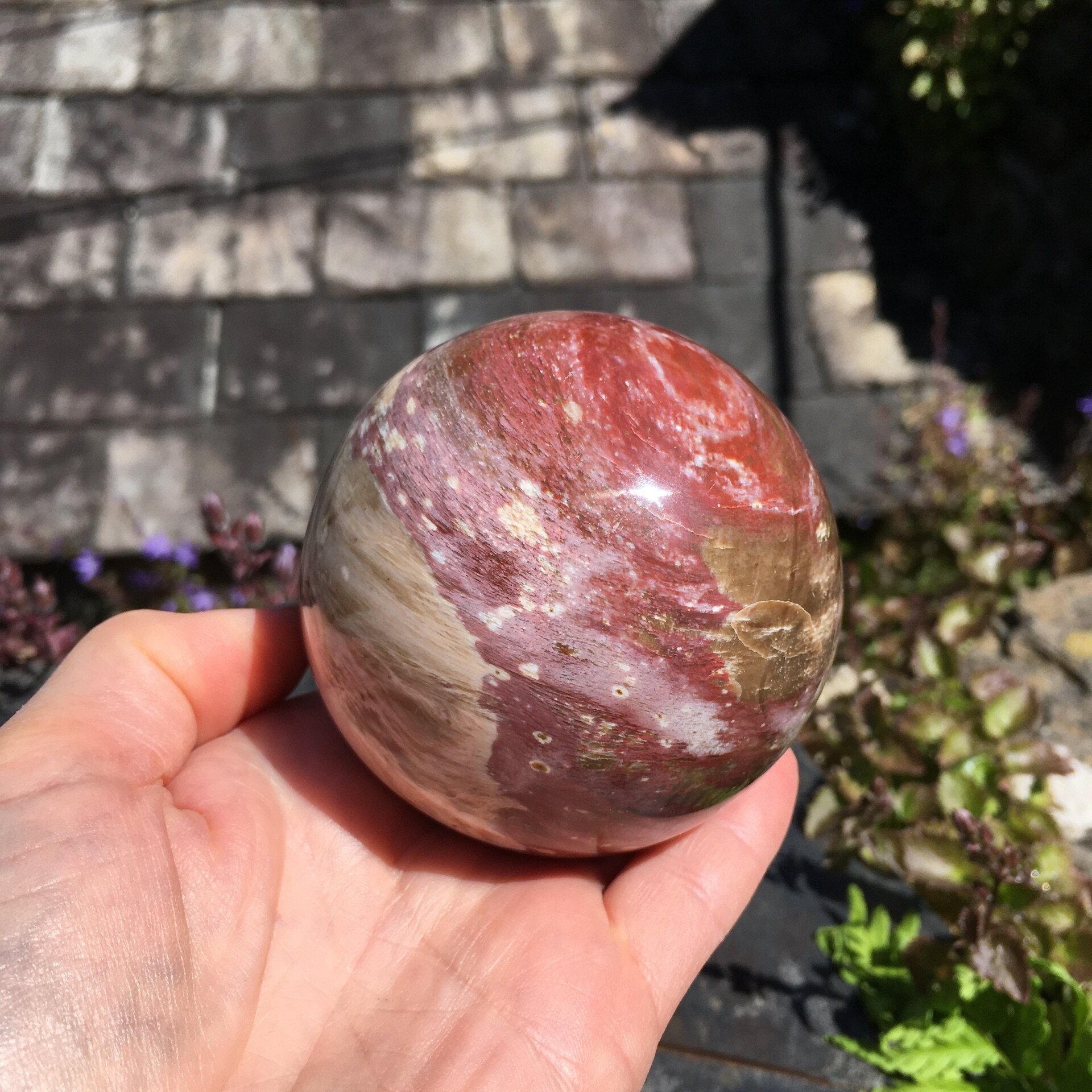 Pet wood Sphere 2d.jpeg