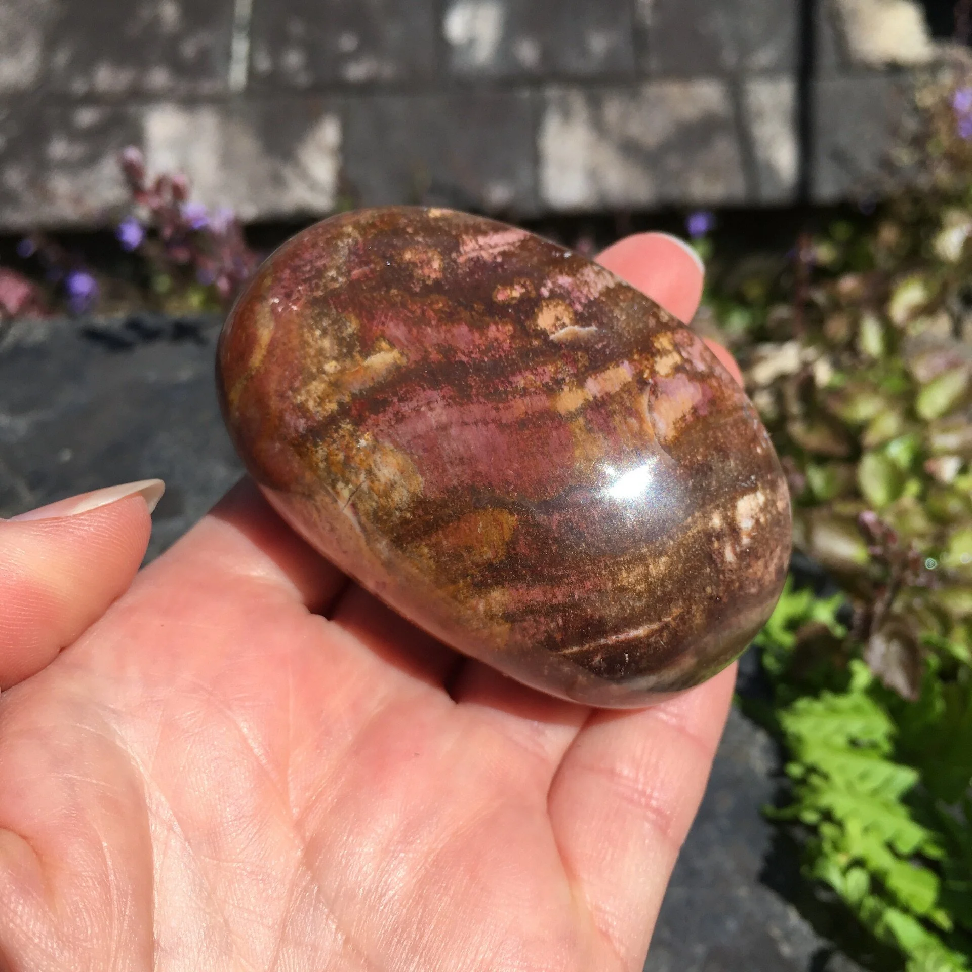 Pet wood pebble 3b.jpeg