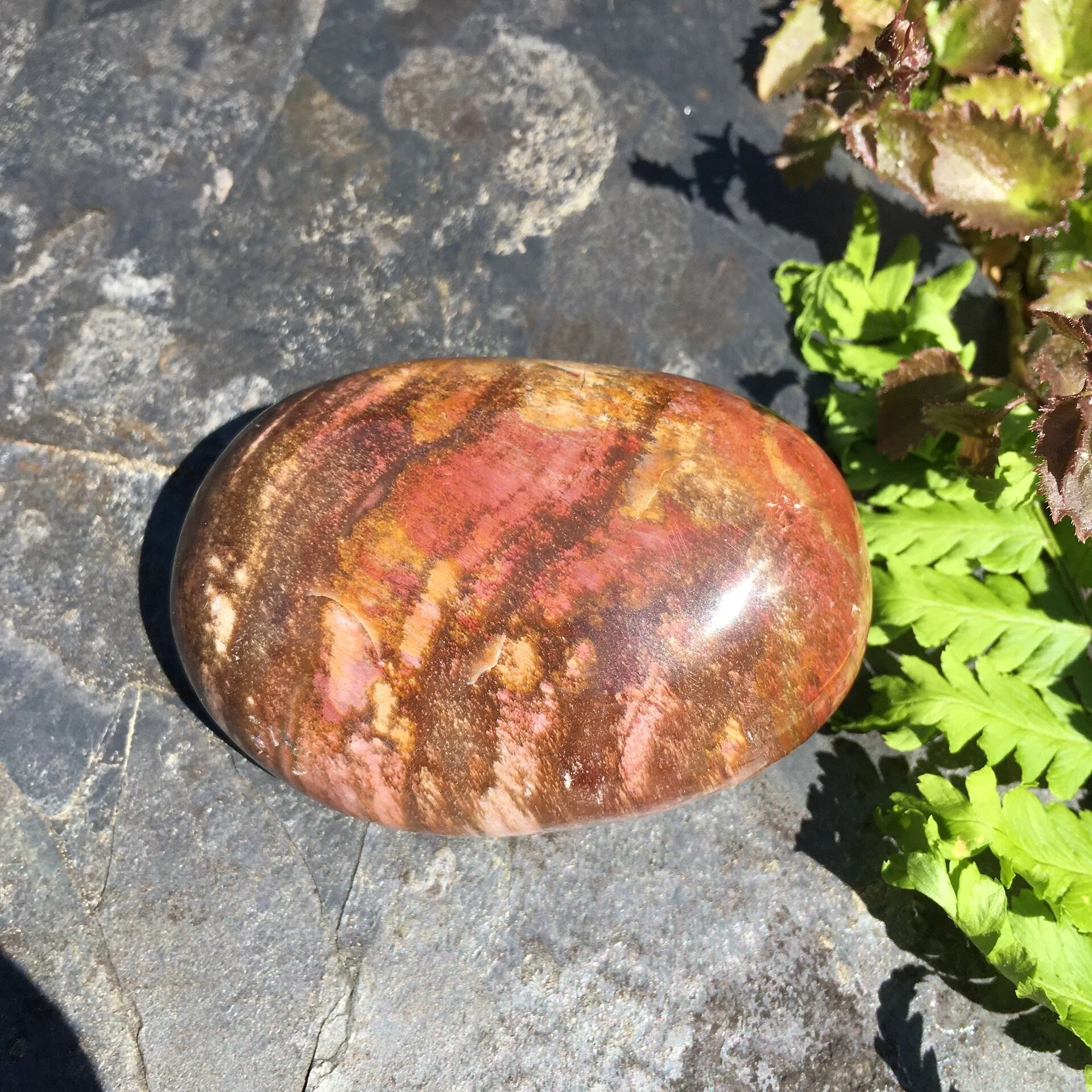 Pet wood pebble 3a.jpeg