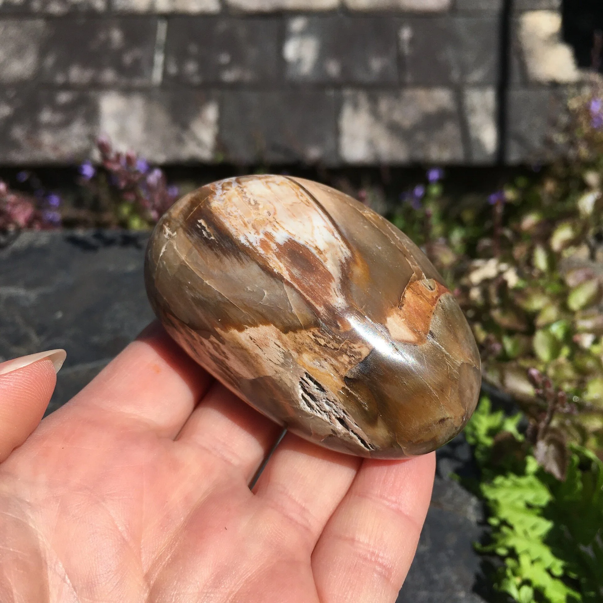 Pet wood pebble 4c.jpeg