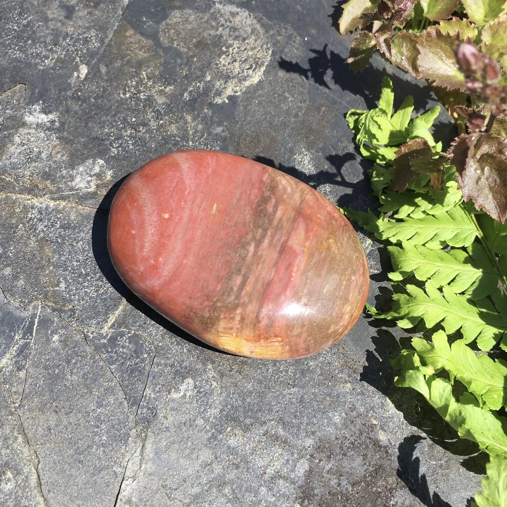 Pet wood pebble 5a.jpeg