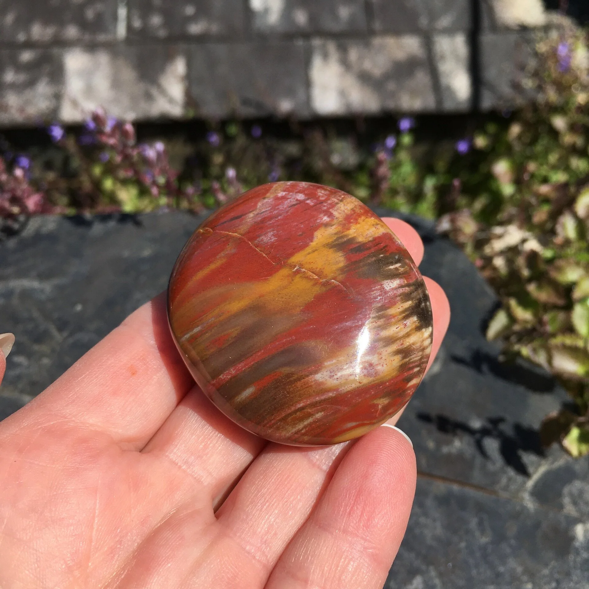 Pet wood pebble 9b.jpeg