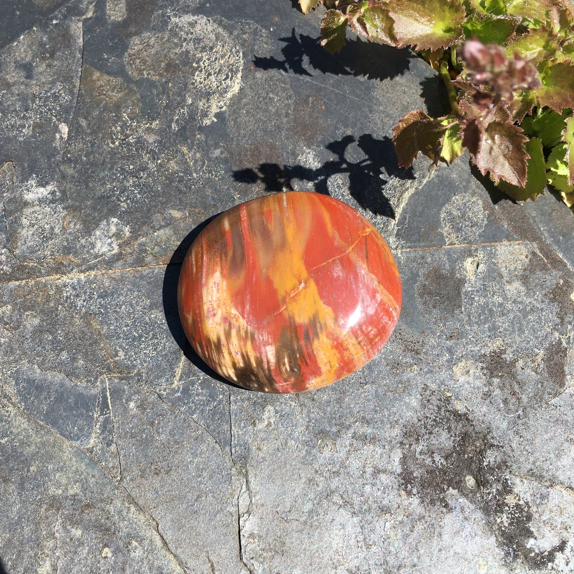 Pet wood pebble 9a.jpeg