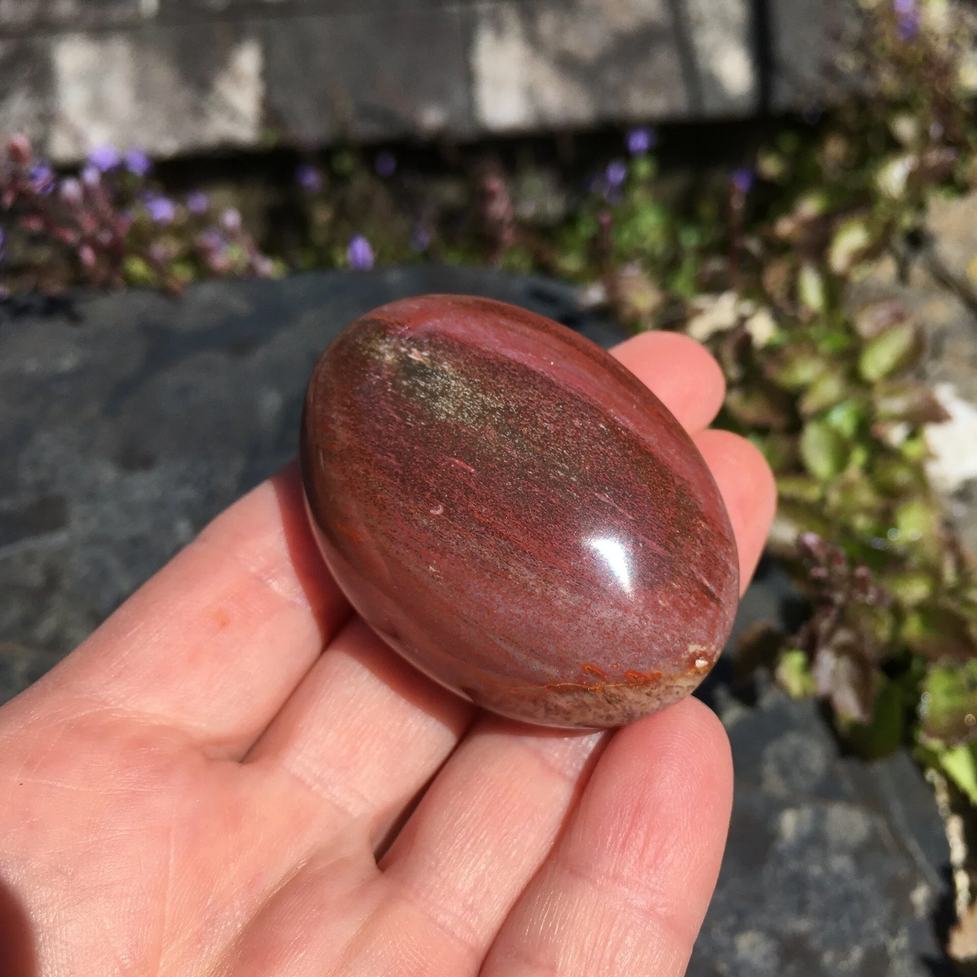 Pet wood pebble 10b.jpeg