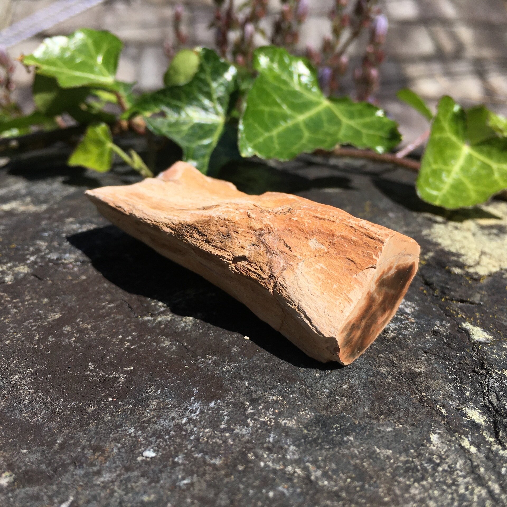 Pet Wood Branch 9a.jpeg