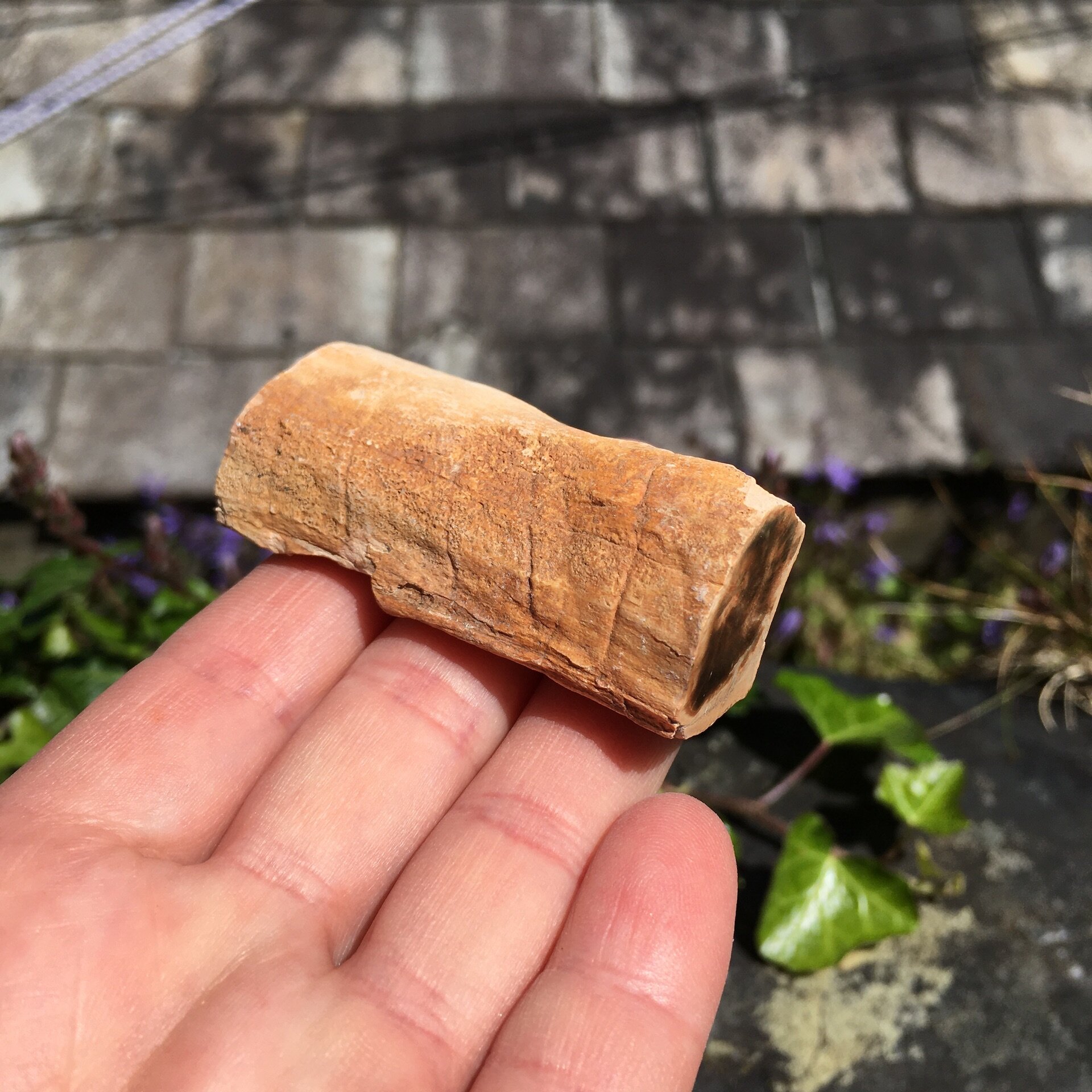 Pet Wood Branch 9c.jpeg