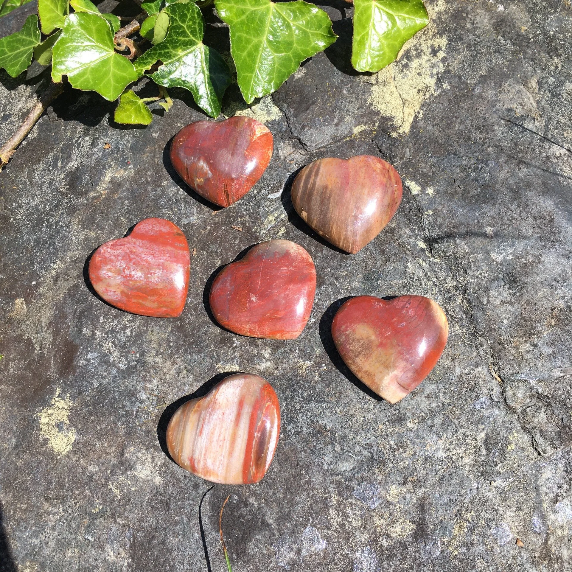 Pet wood hearts 35-40mm.jpeg