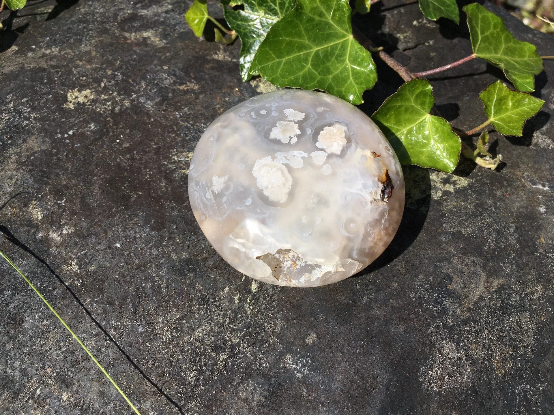 Flower Agate Galet 2a.jpeg