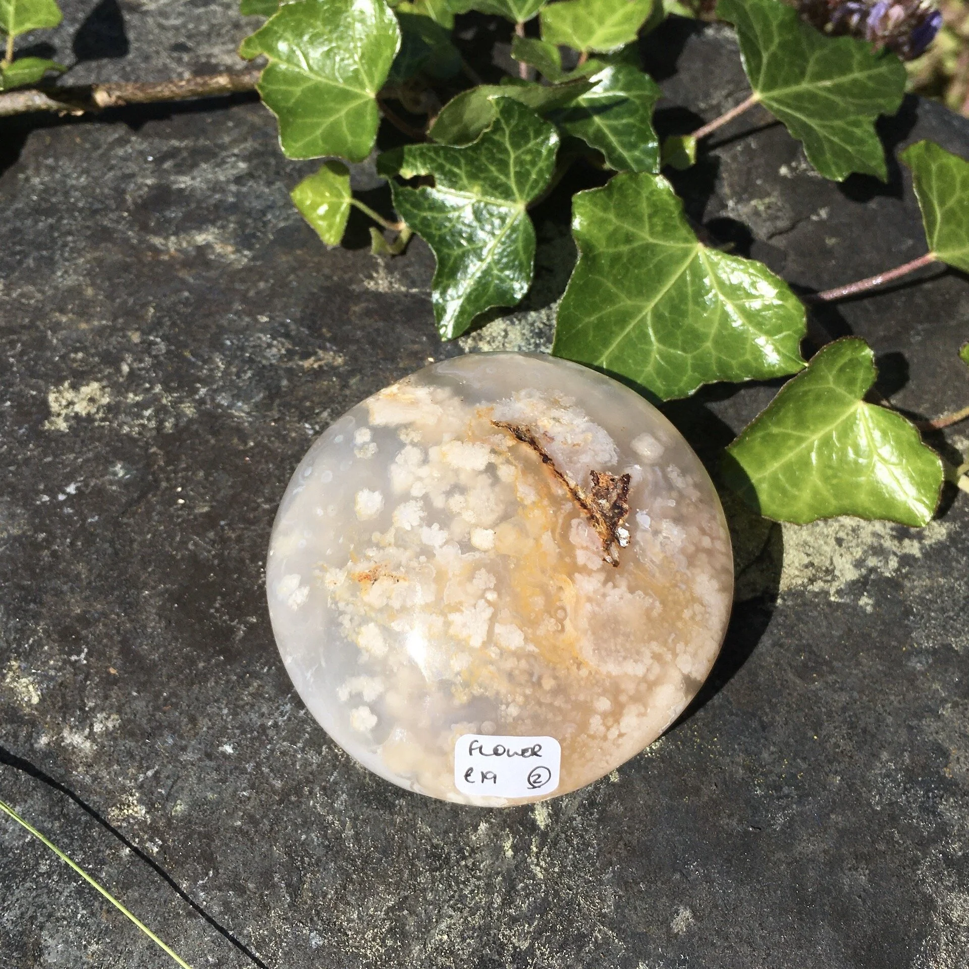 Flower Agate Galet 2e.jpeg