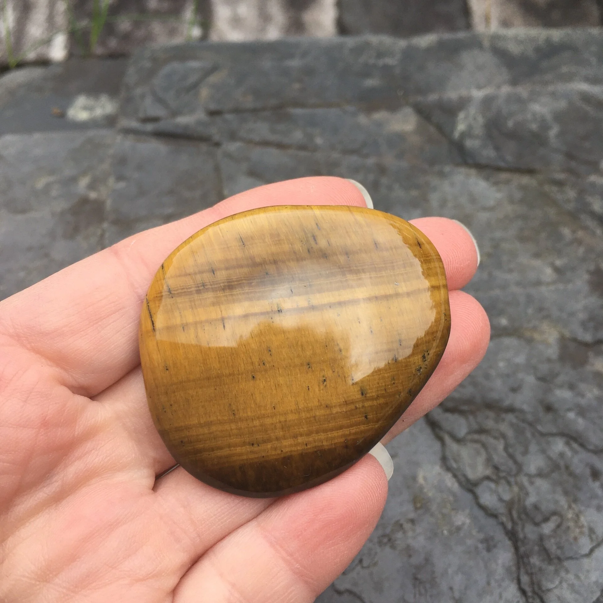 Tiger Eye smooth £9c.jpeg